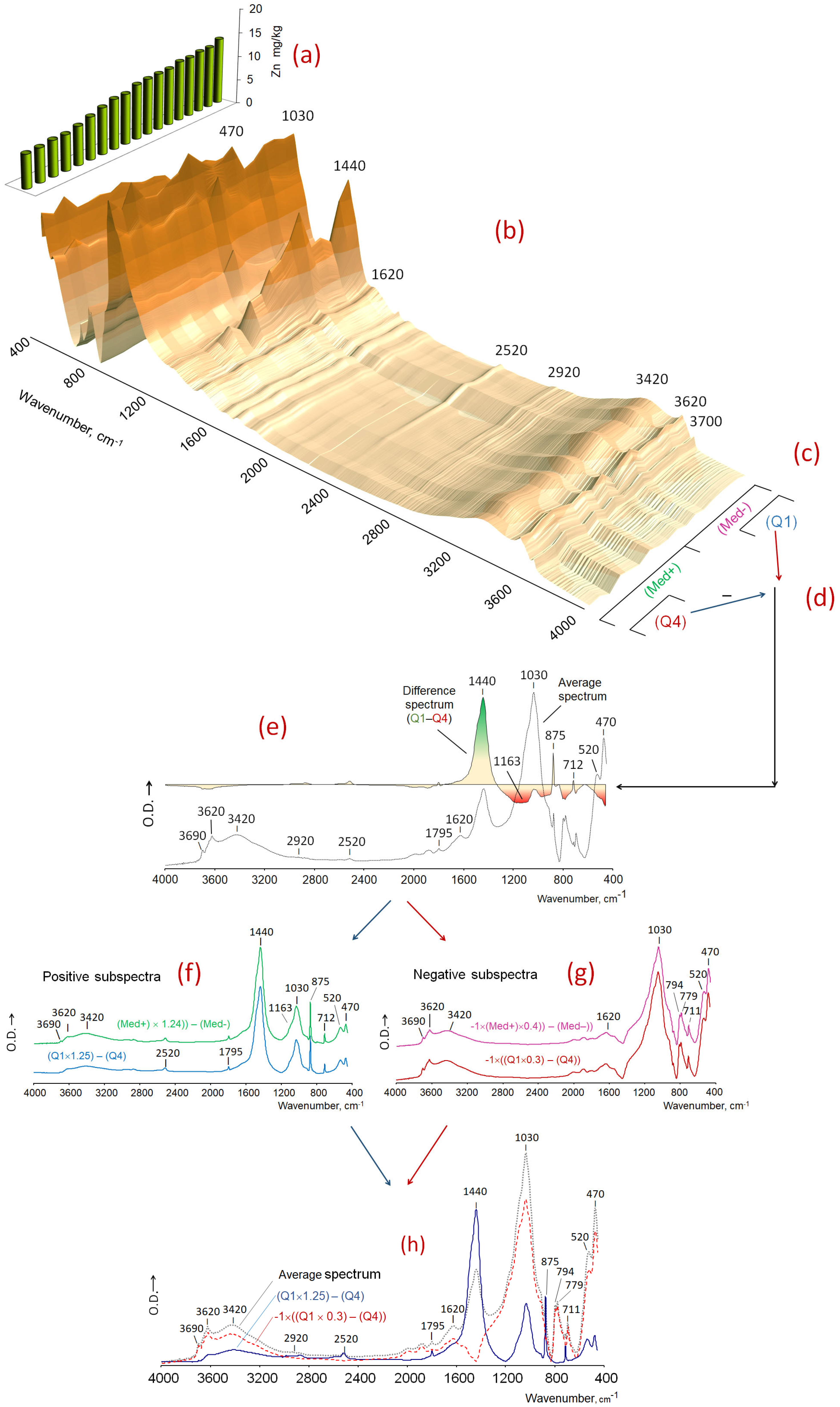 Agronomy 15 01592 g001