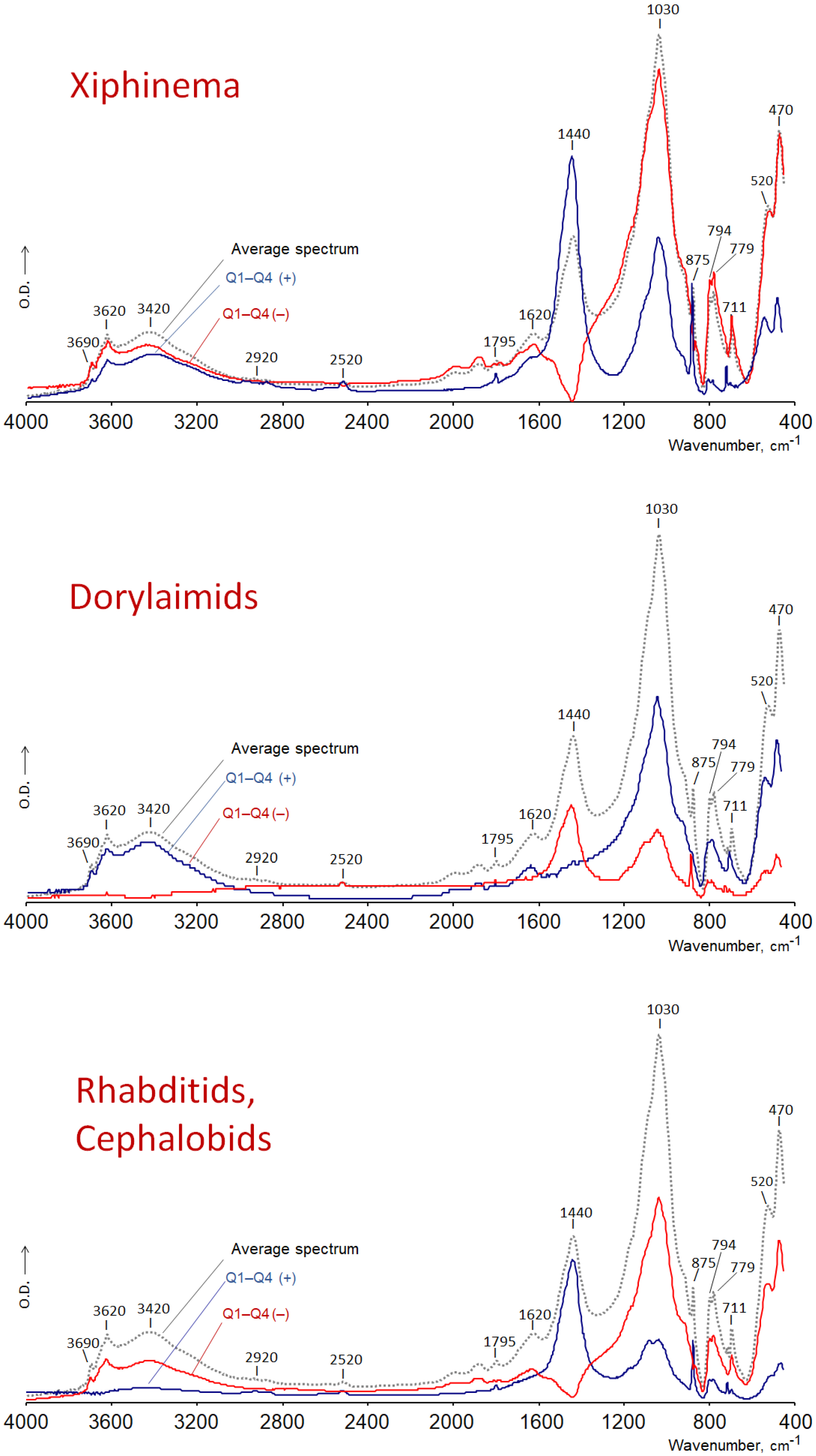 Agronomy 15 01592 g007