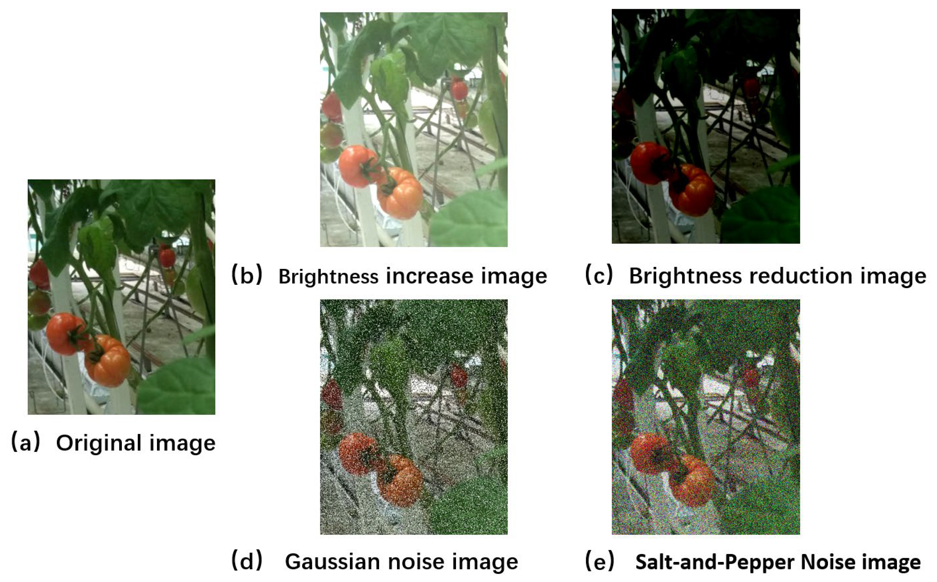 Agronomy 15 01593 g003