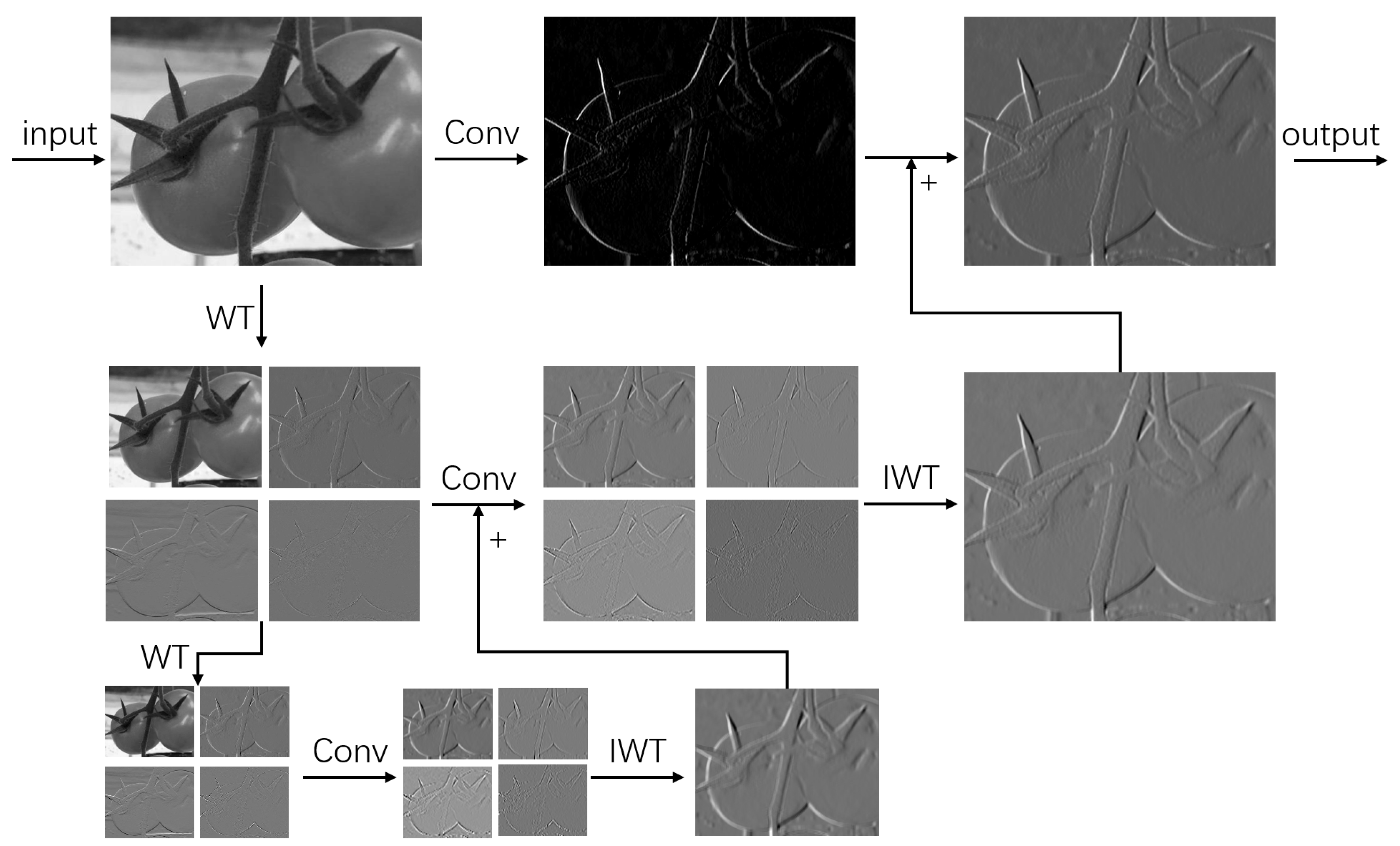 Agronomy 15 01593 g006