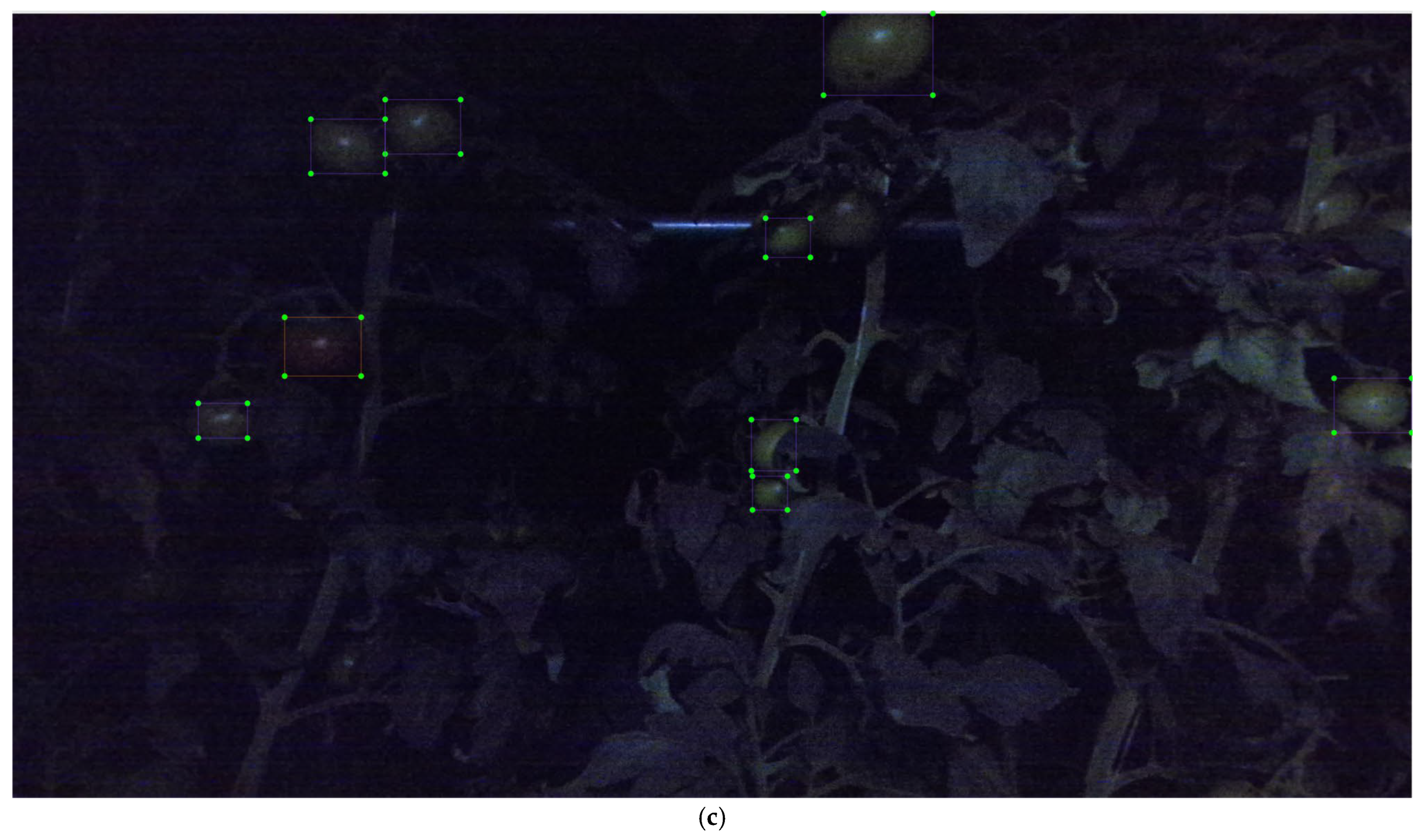 Agronomy 15 01593 g012b