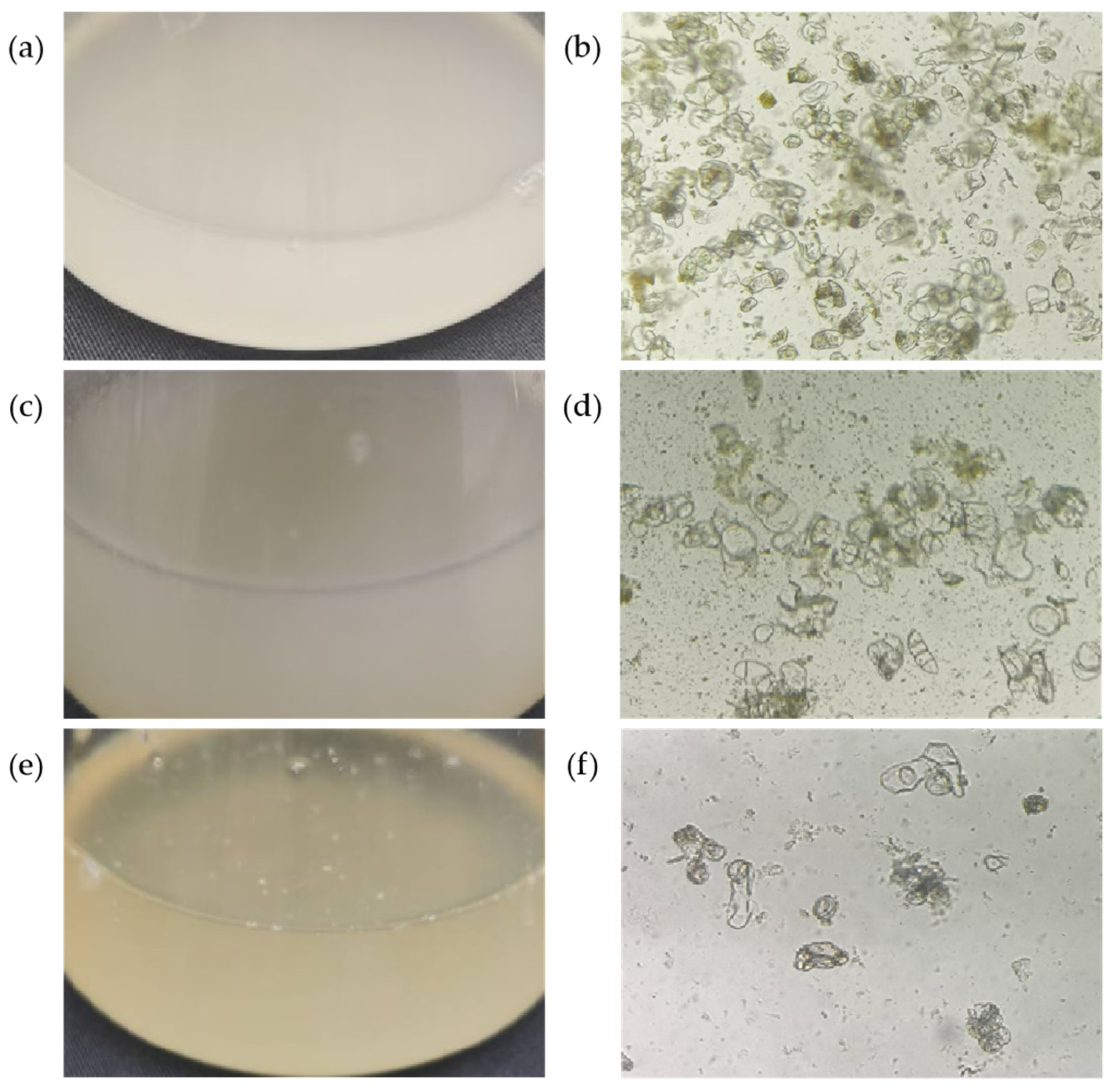 Agronomy 15 01595 g002