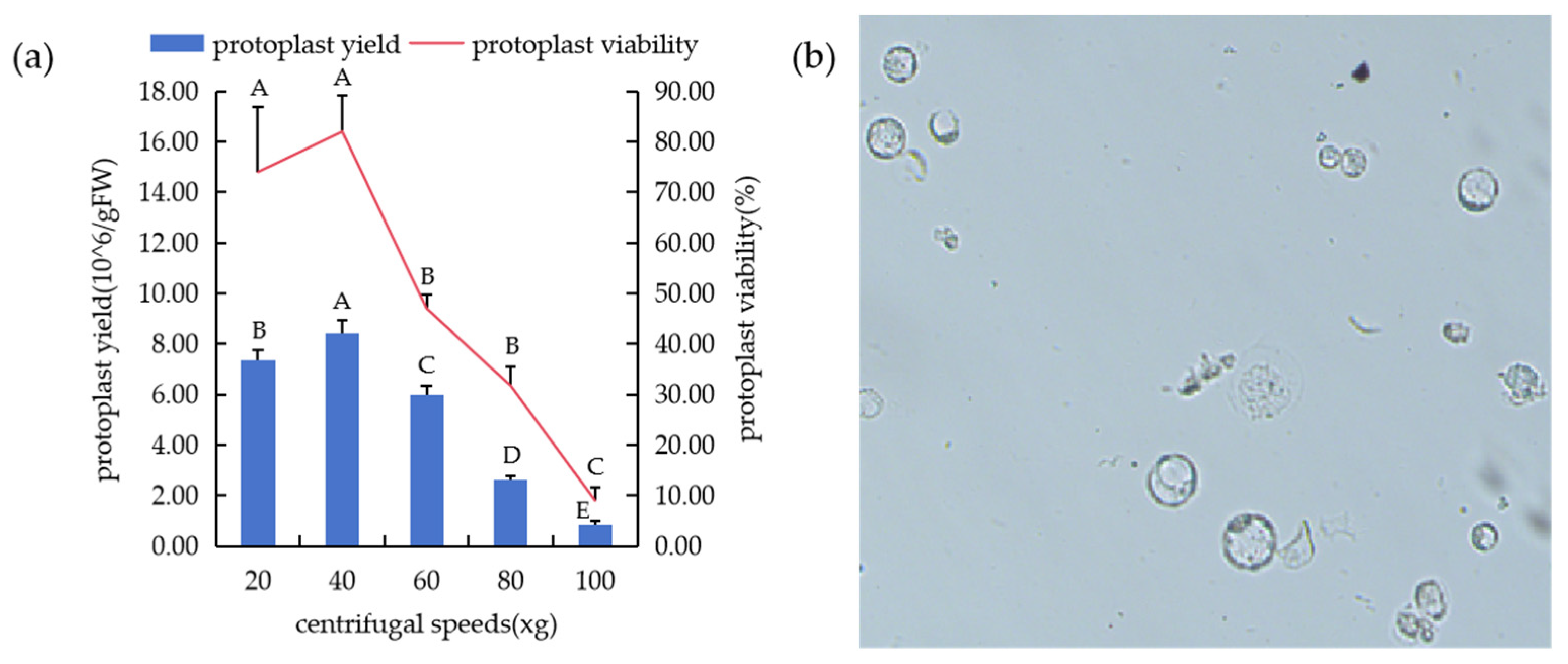 Agronomy 15 01595 g007