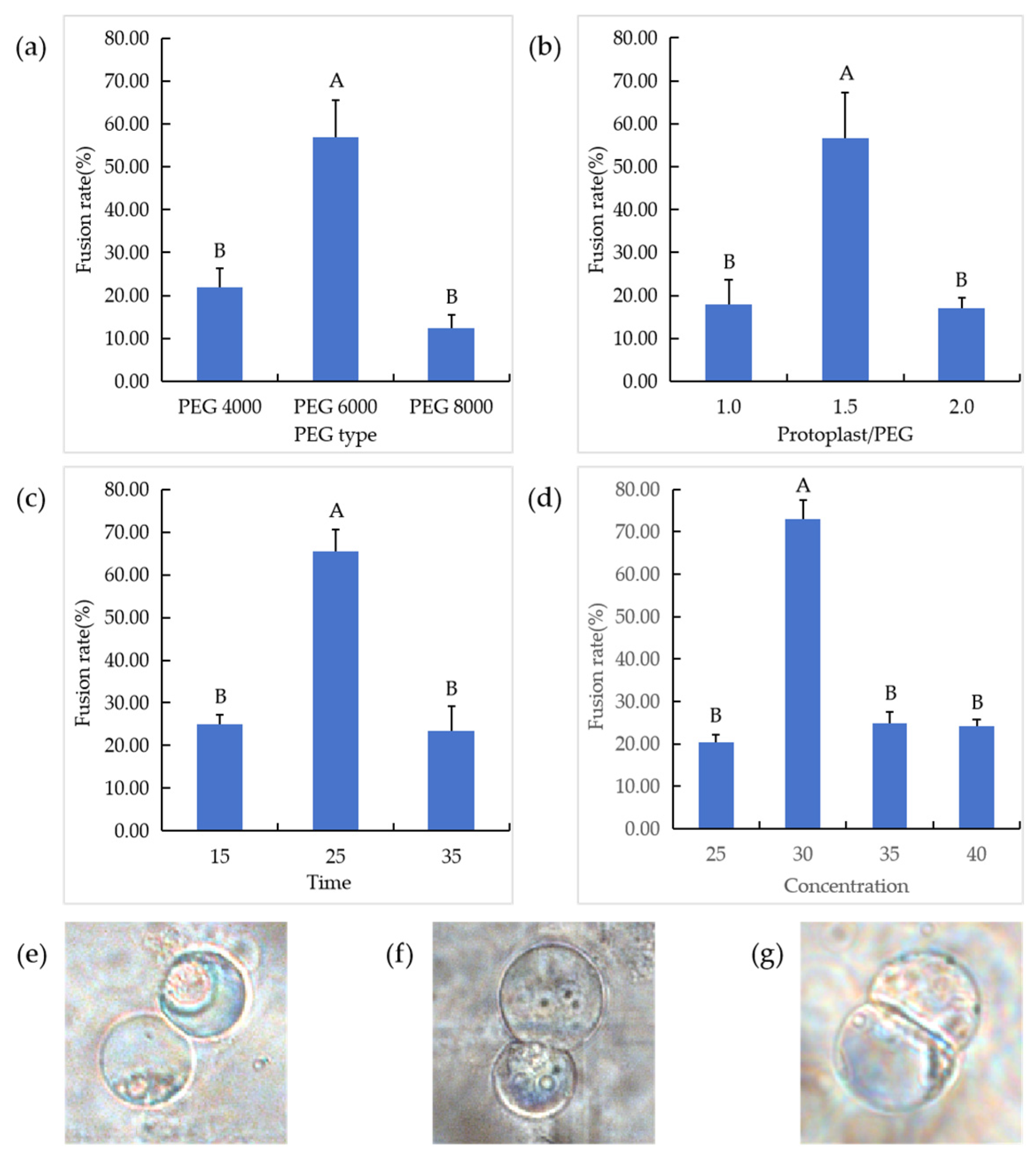 Agronomy 15 01595 g008