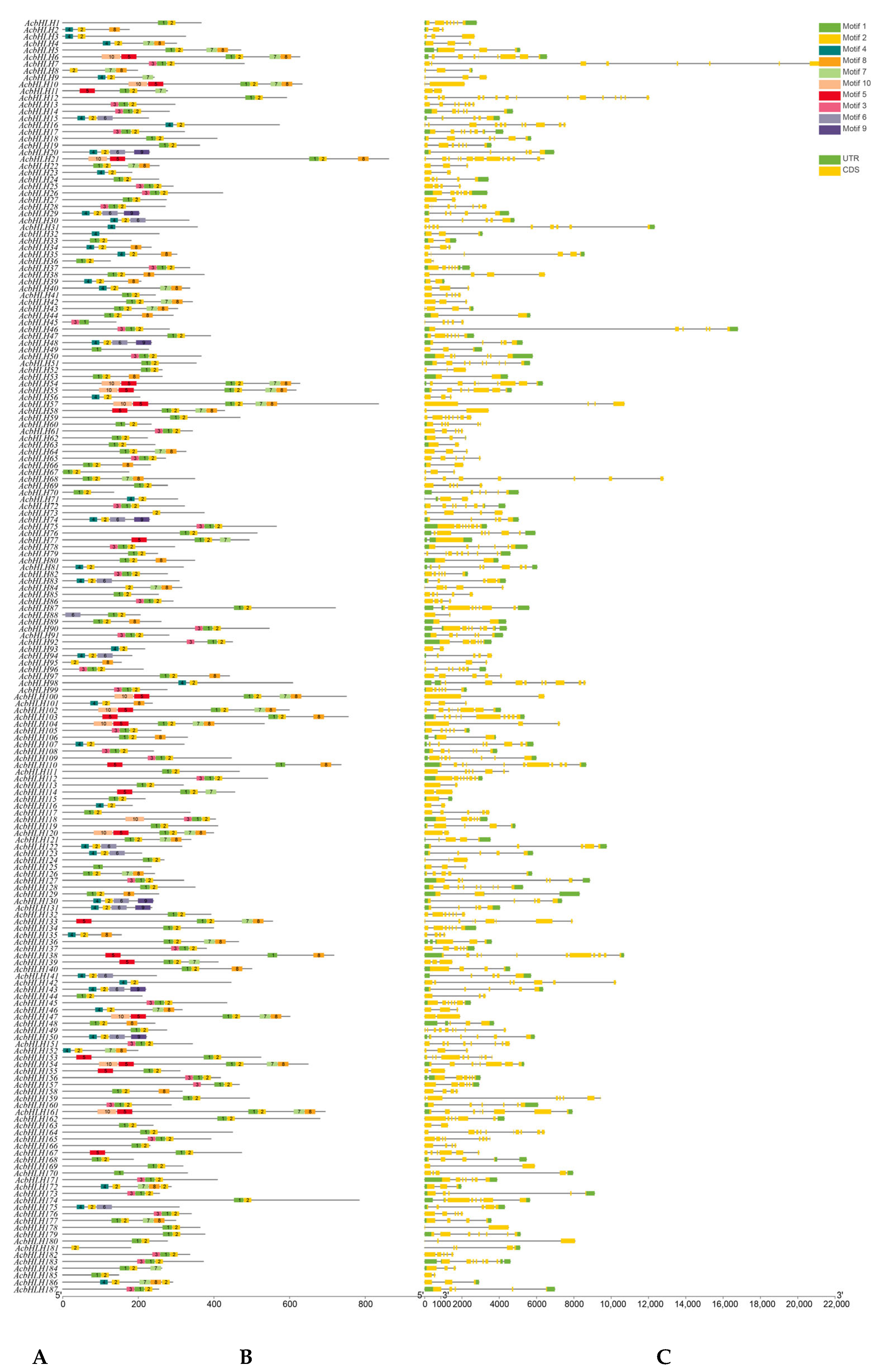 Agronomy 15 01598 g003