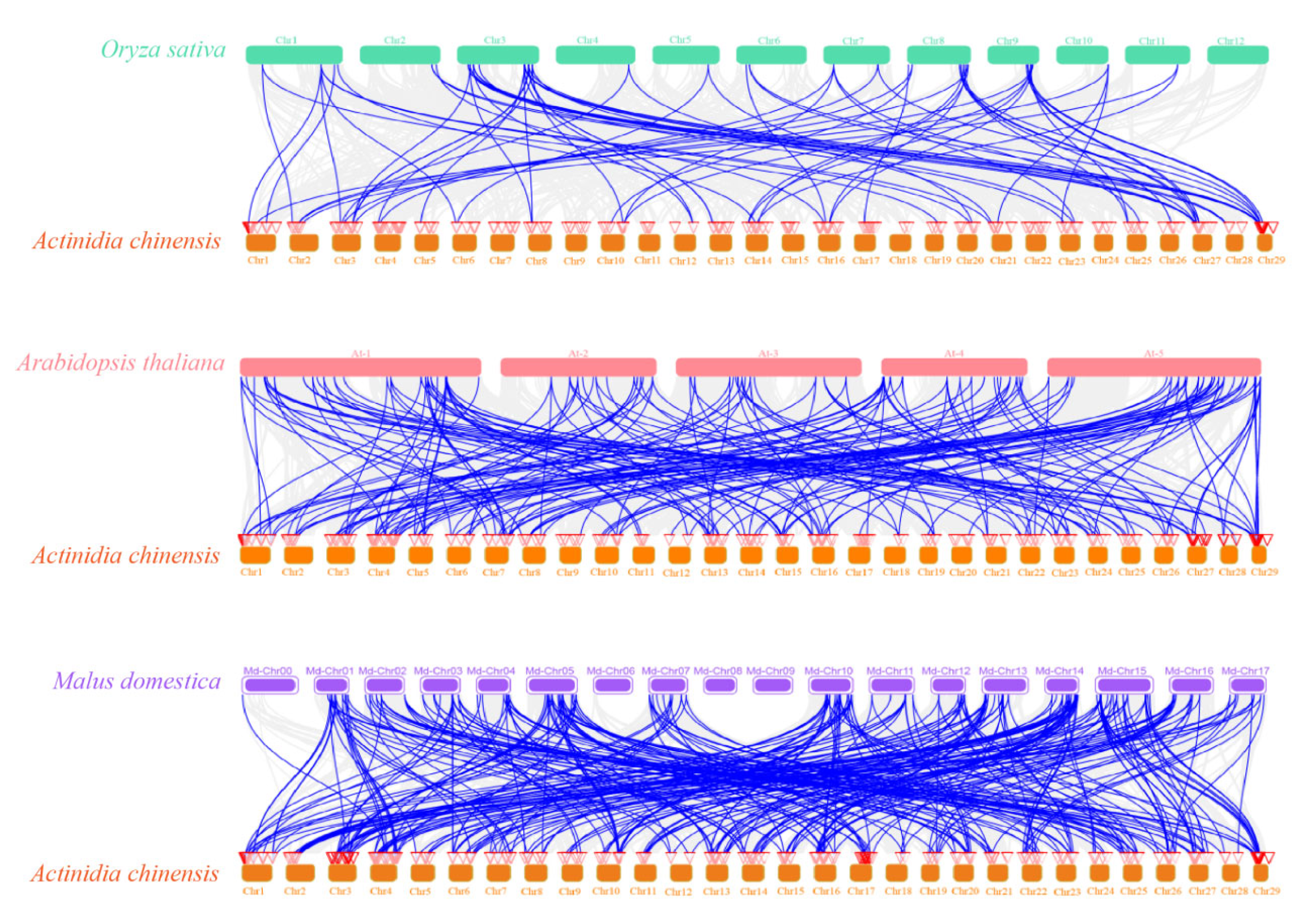 Agronomy 15 01598 g005