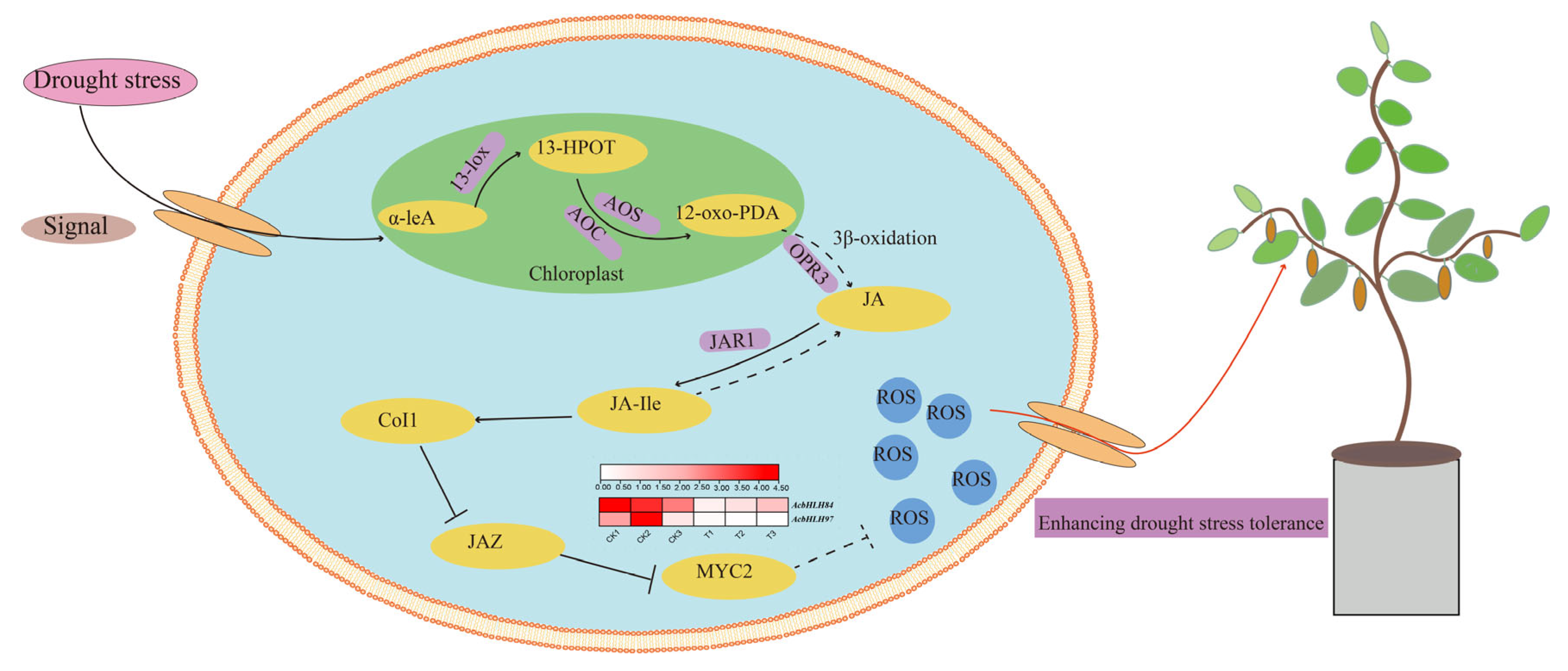 Agronomy 15 01598 g010
