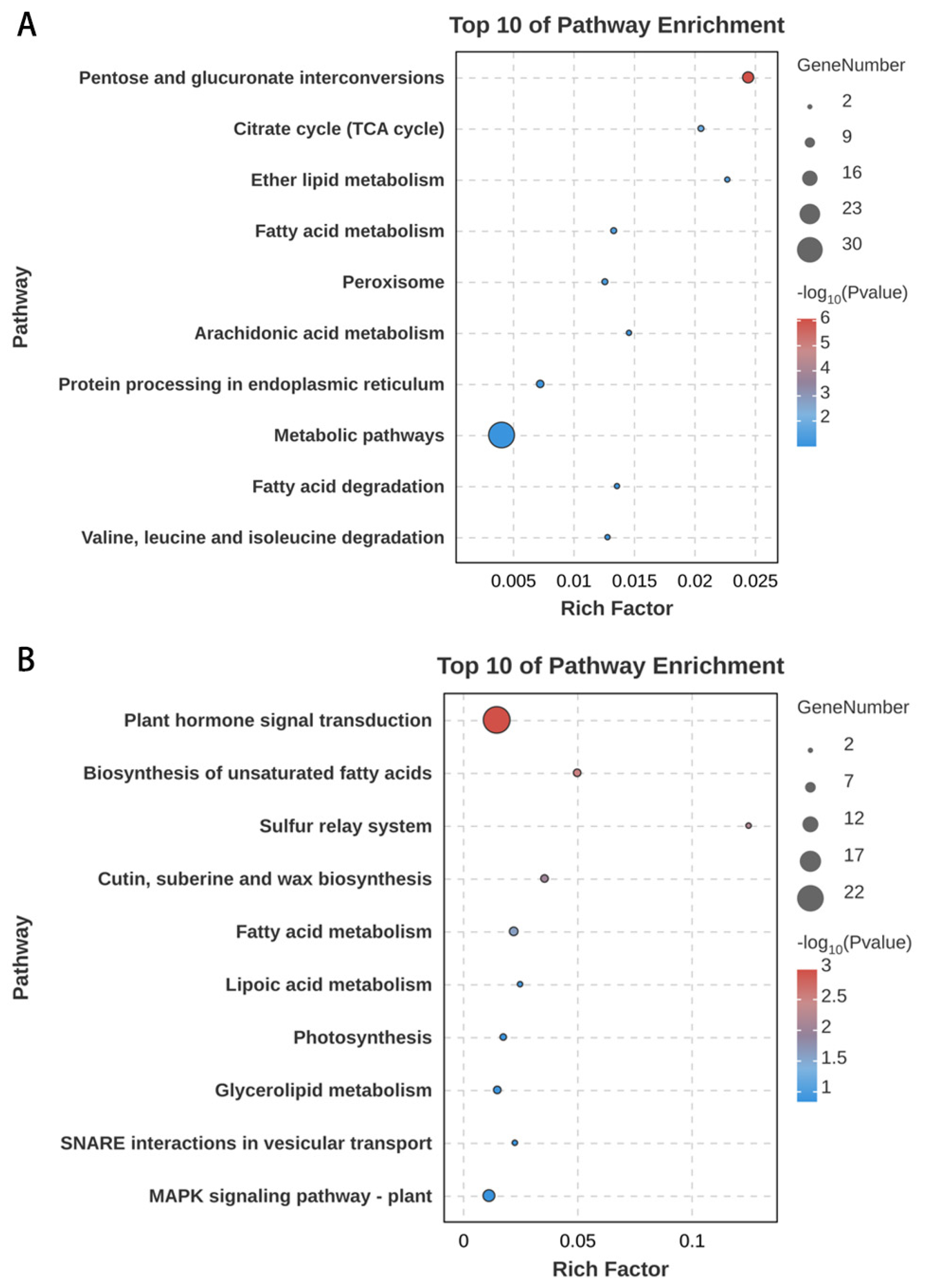 Agronomy 15 01599 g007