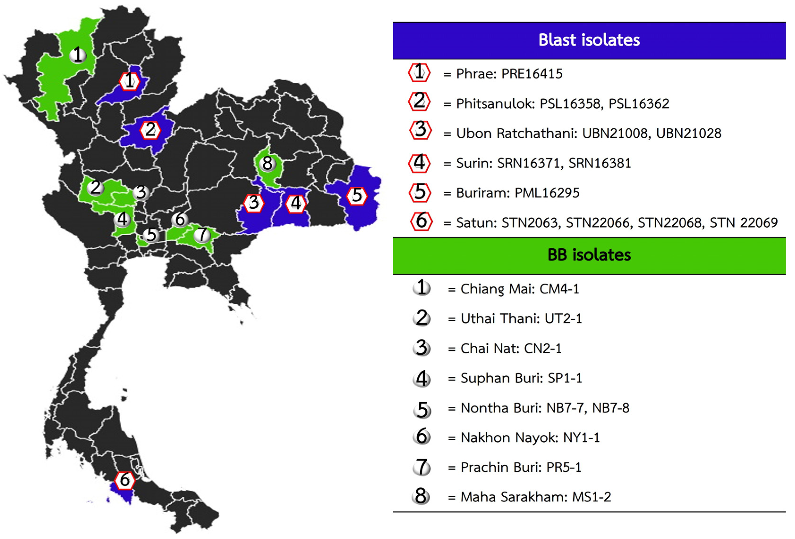Agronomy 15 01600 g002 Agronomy 15 01600 g002