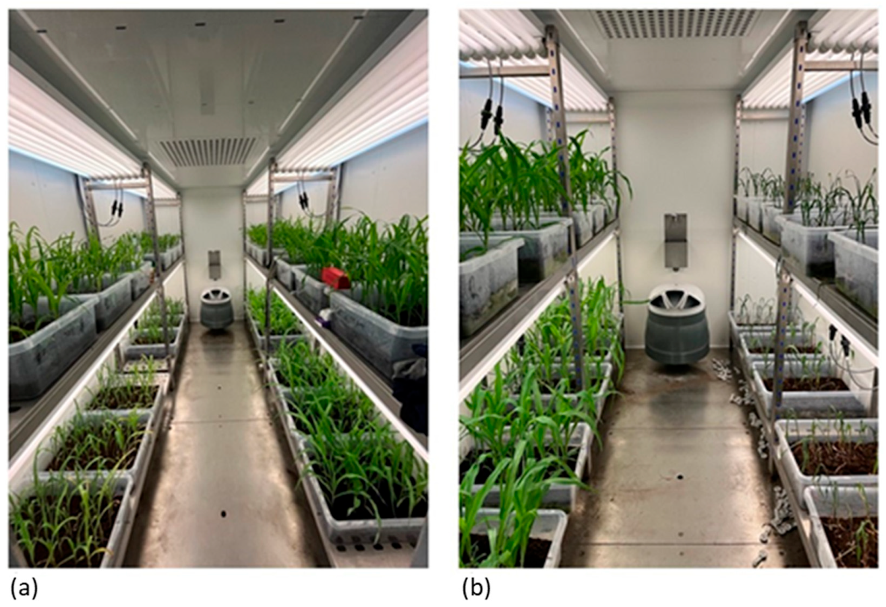 Agronomy 15 01604 g002