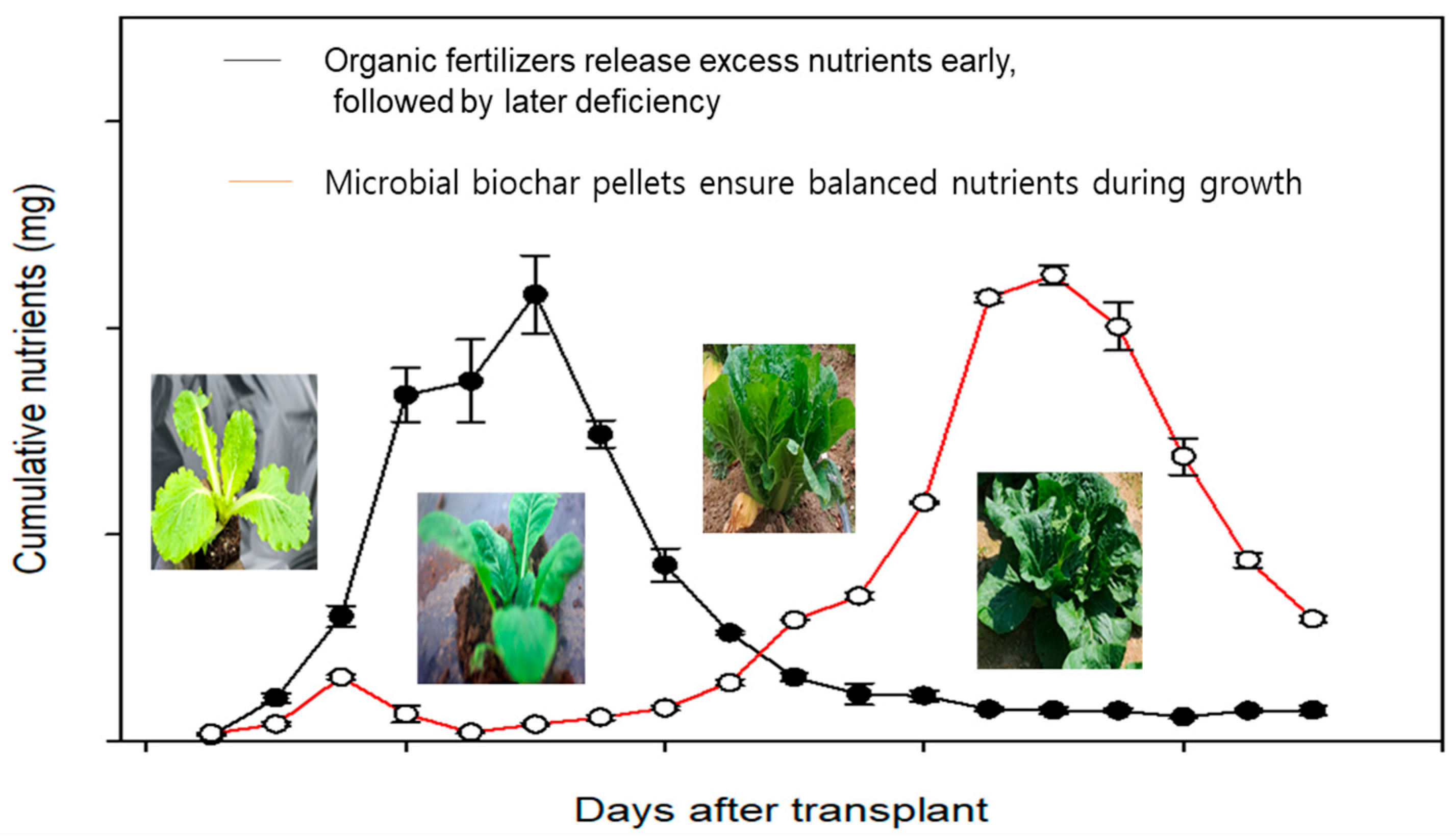 Agronomy 15 01607 g001