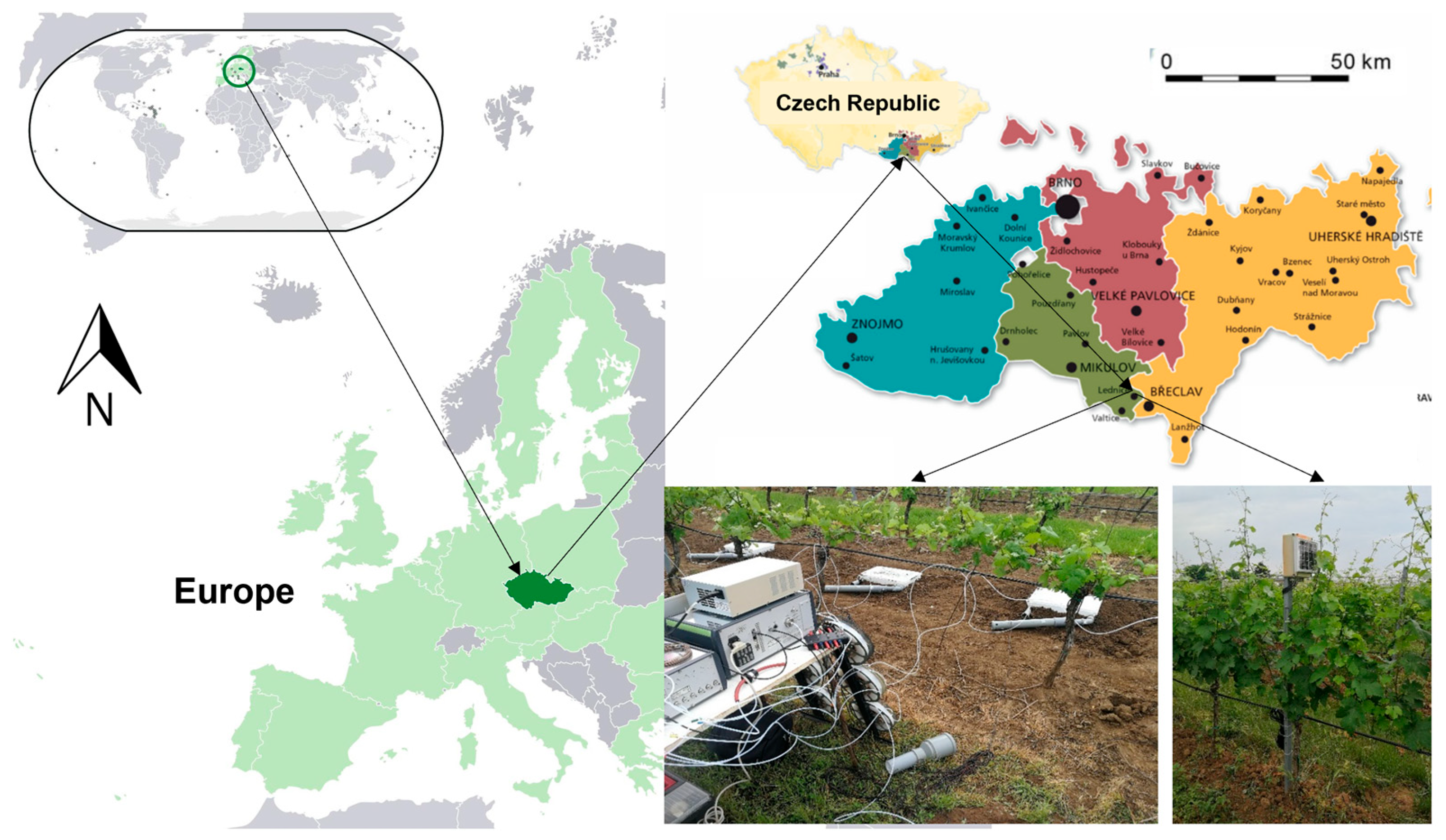 Agronomy 15 01611 g001