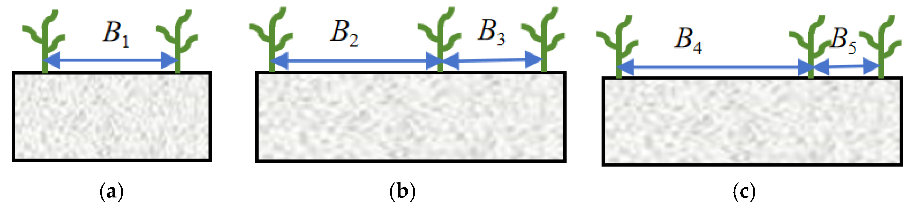 Agronomy 15 01614 g001