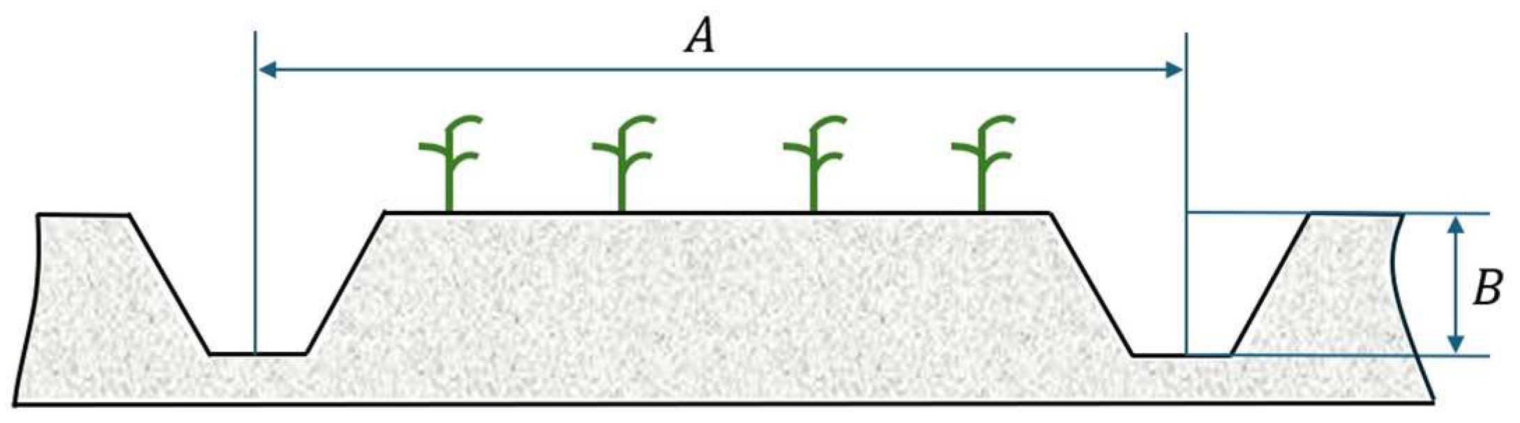Agronomy 15 01614 g004