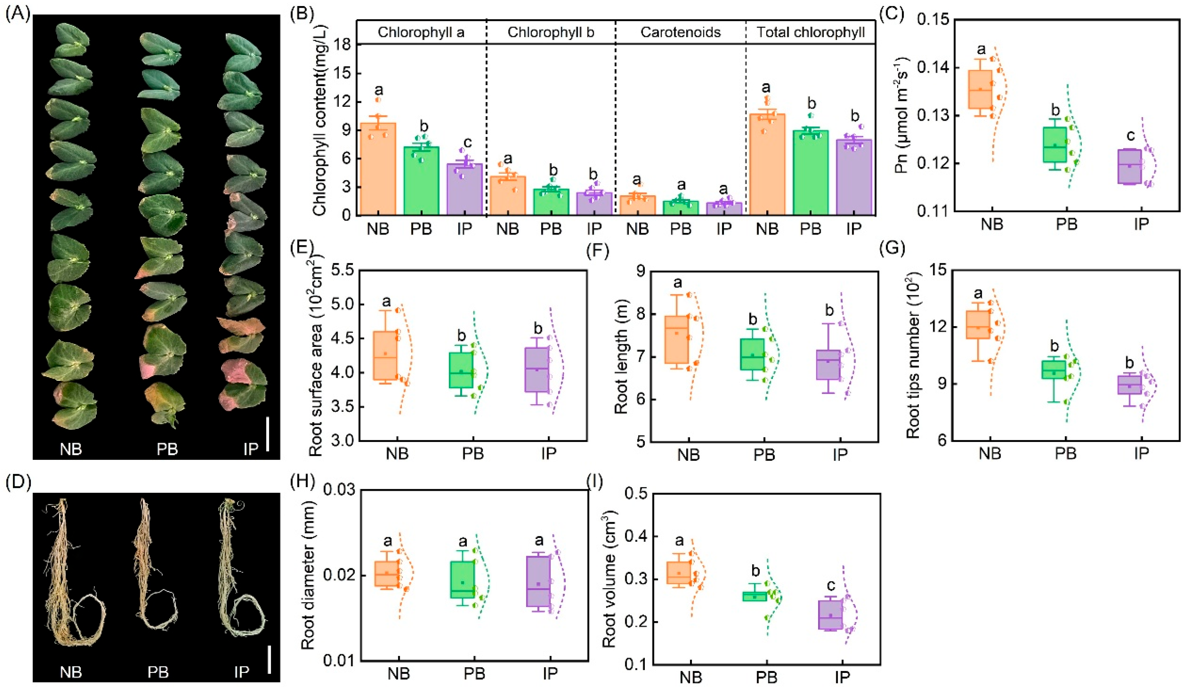 Agronomy 15 01615 g002