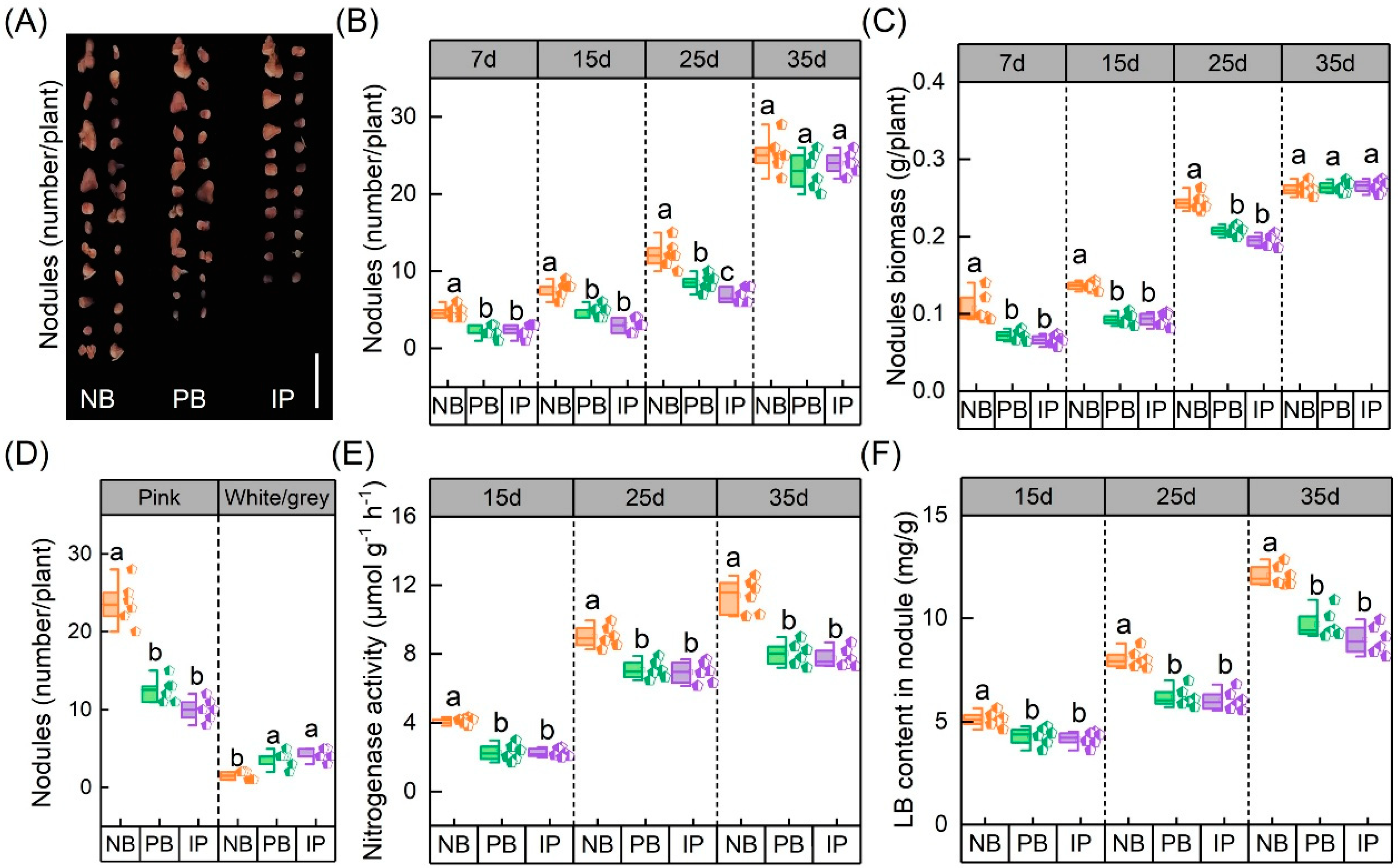 Agronomy 15 01615 g003