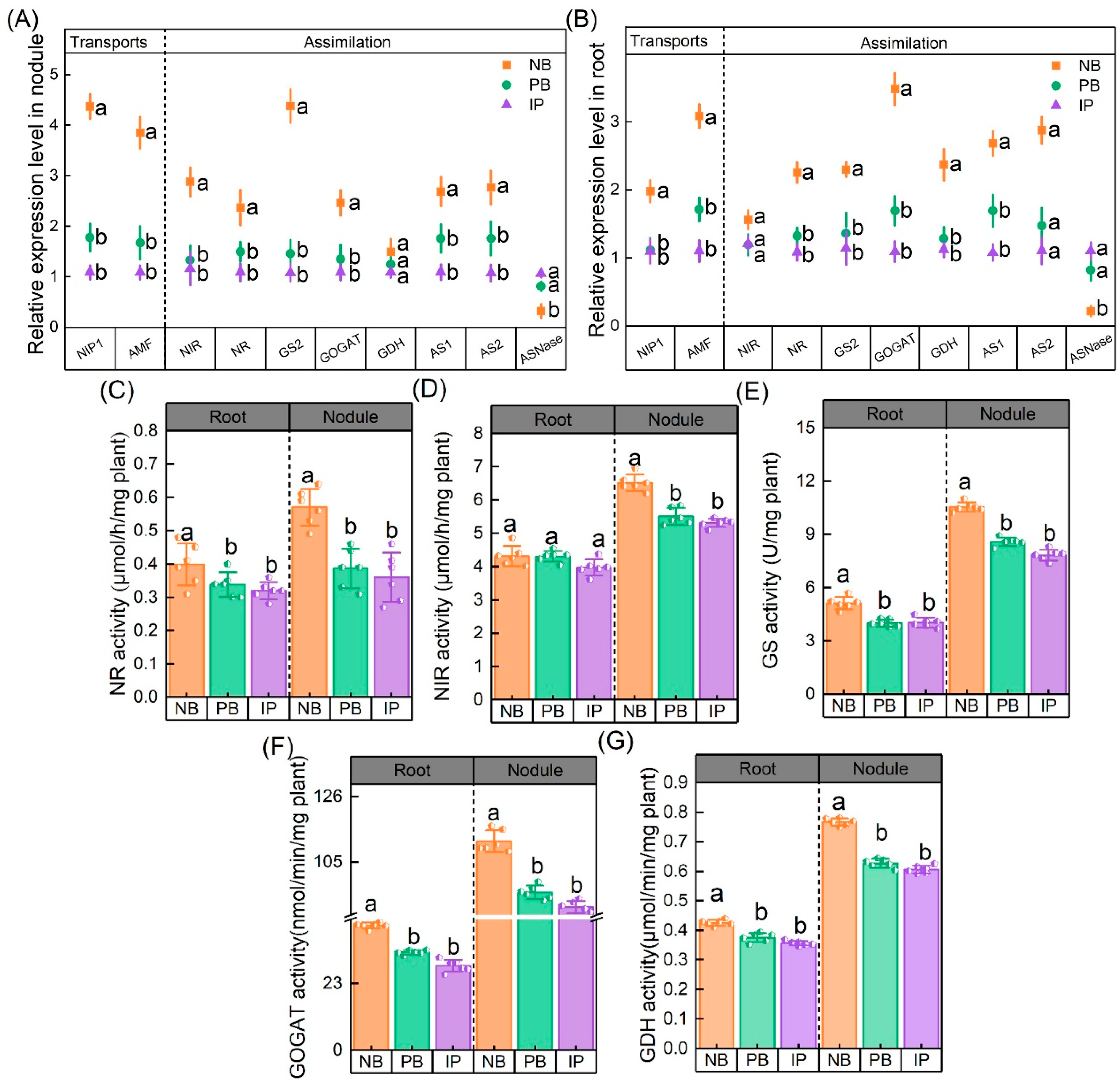 Agronomy 15 01615 g004