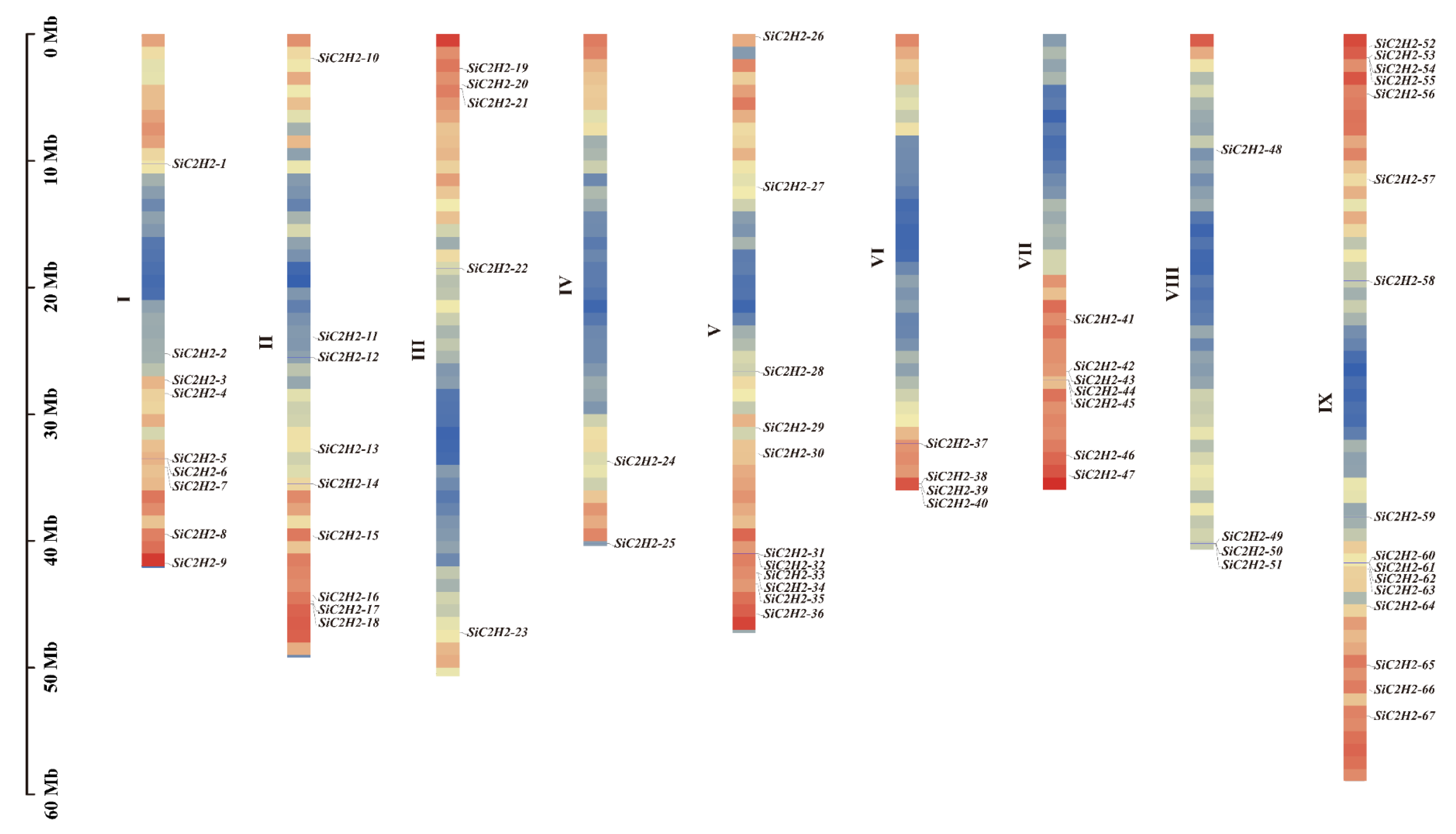 Agronomy 15 01618 g001