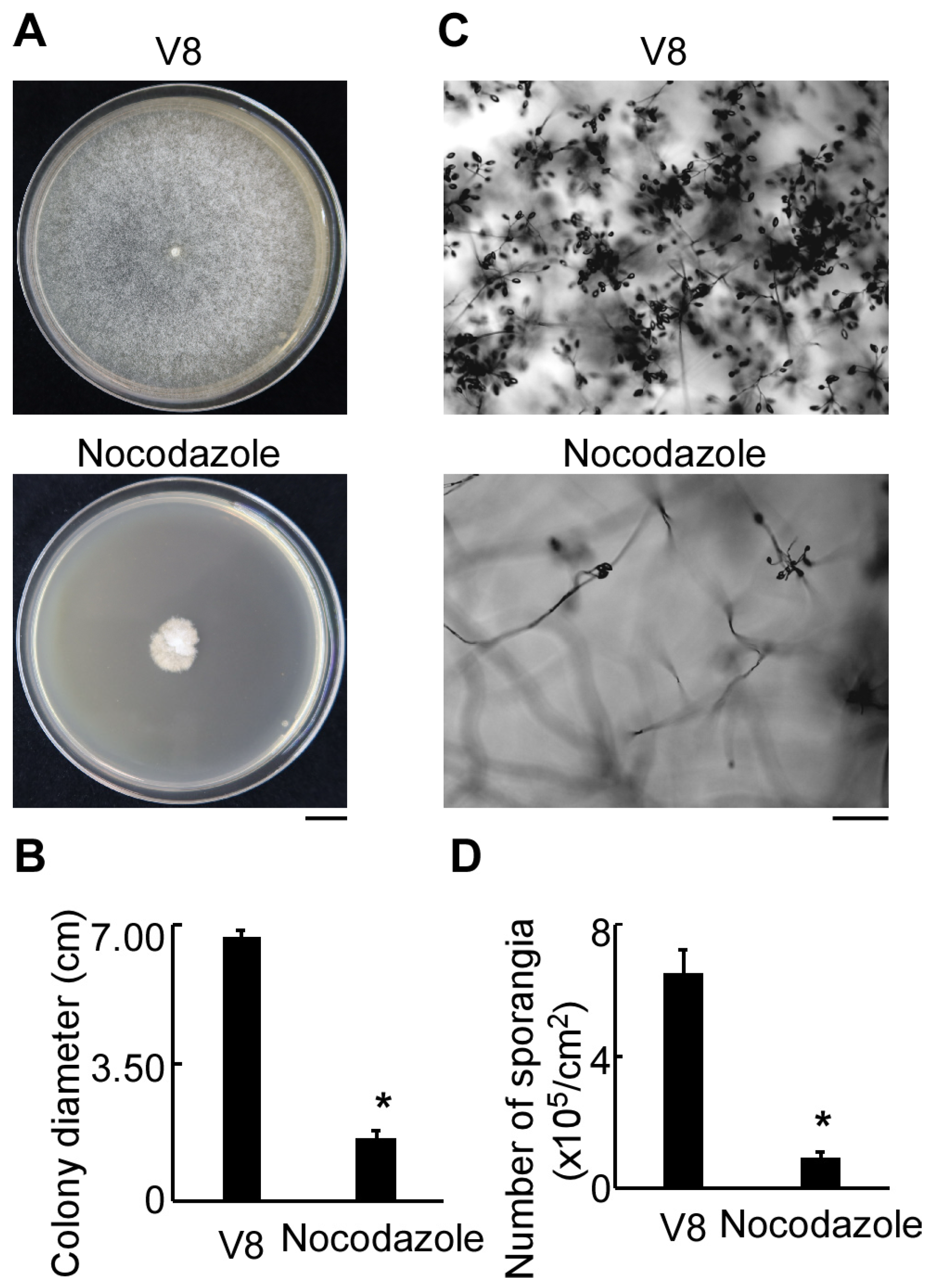 Agronomy 15 01619 g001