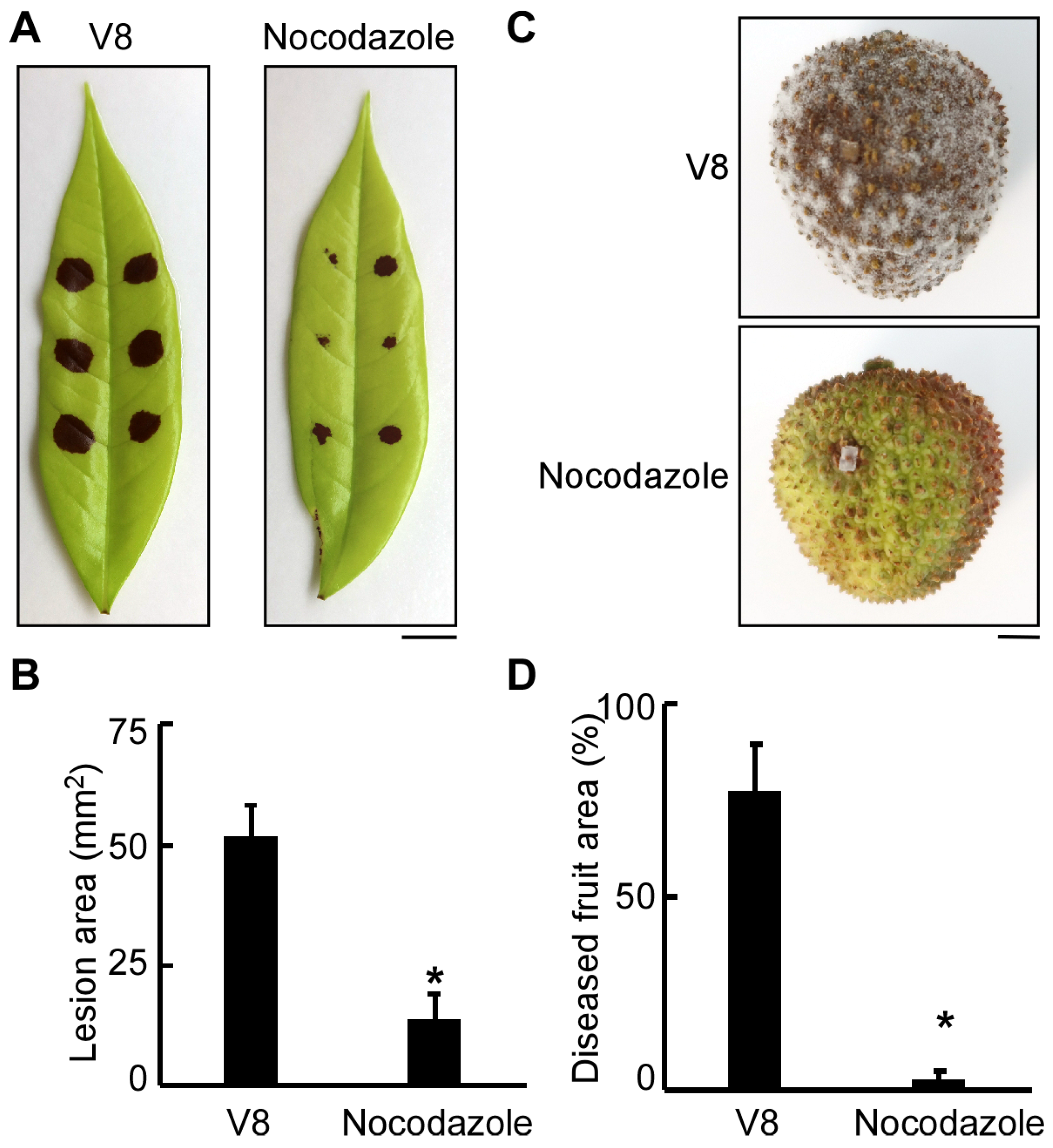 Agronomy 15 01619 g003