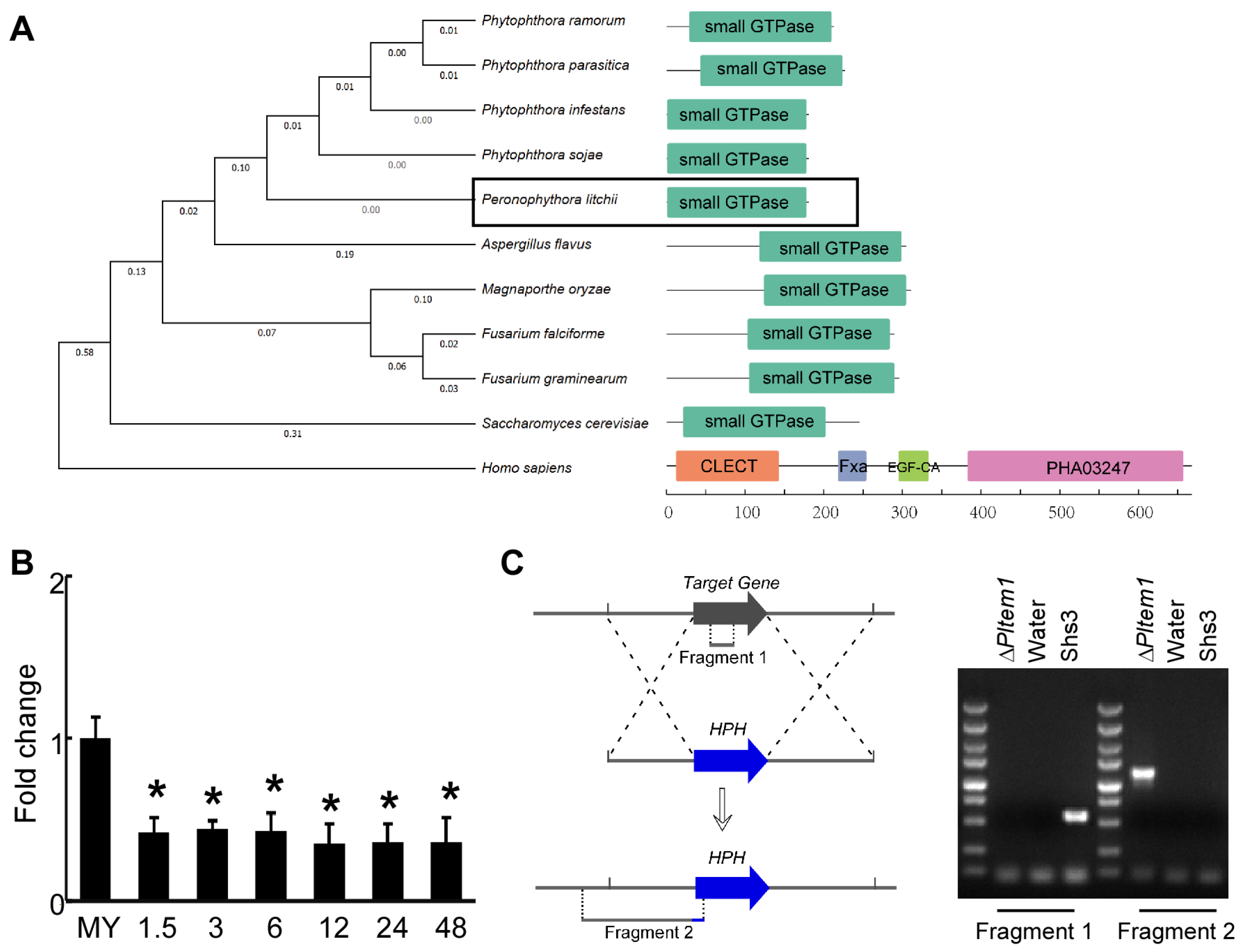 Agronomy 15 01619 g004