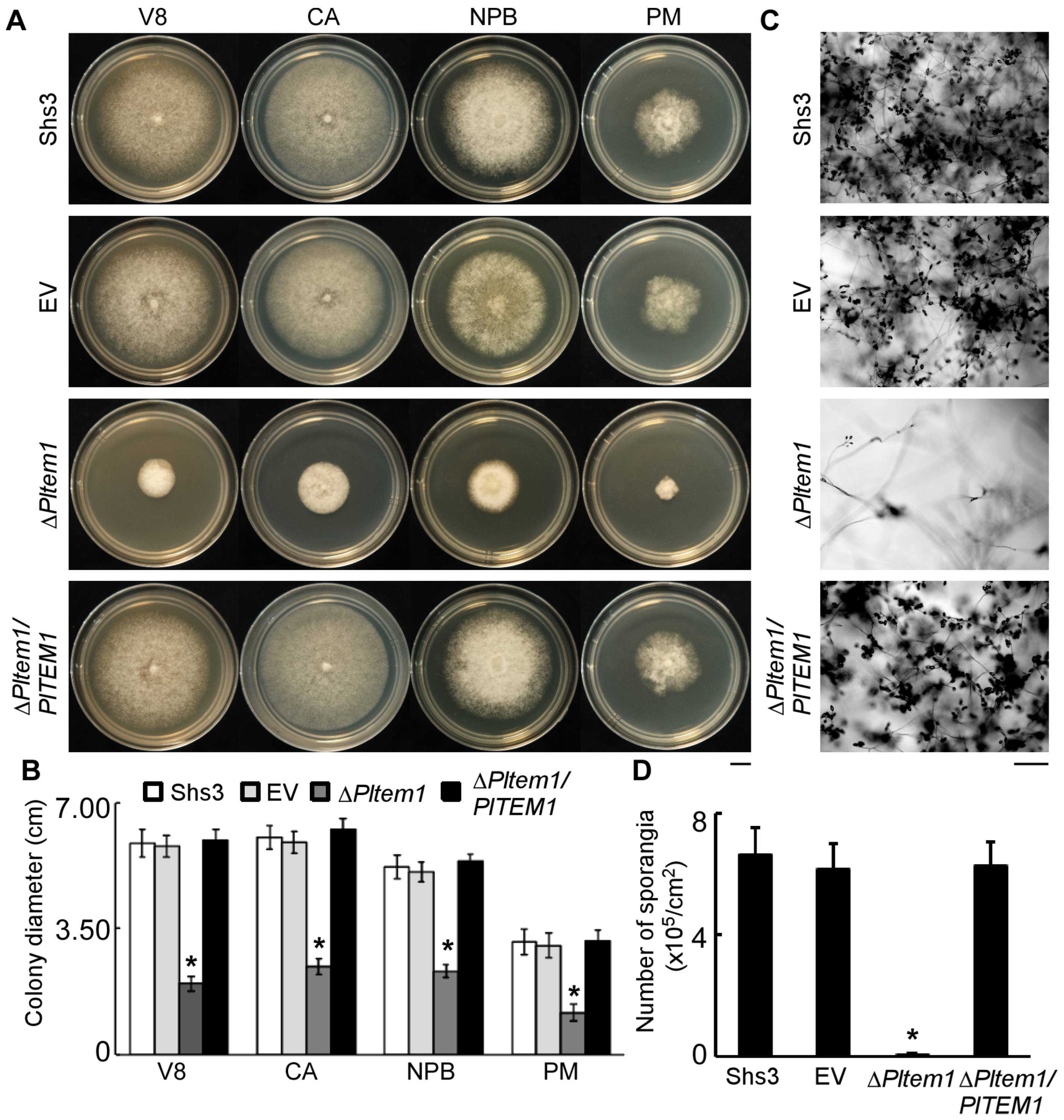 Agronomy 15 01619 g005