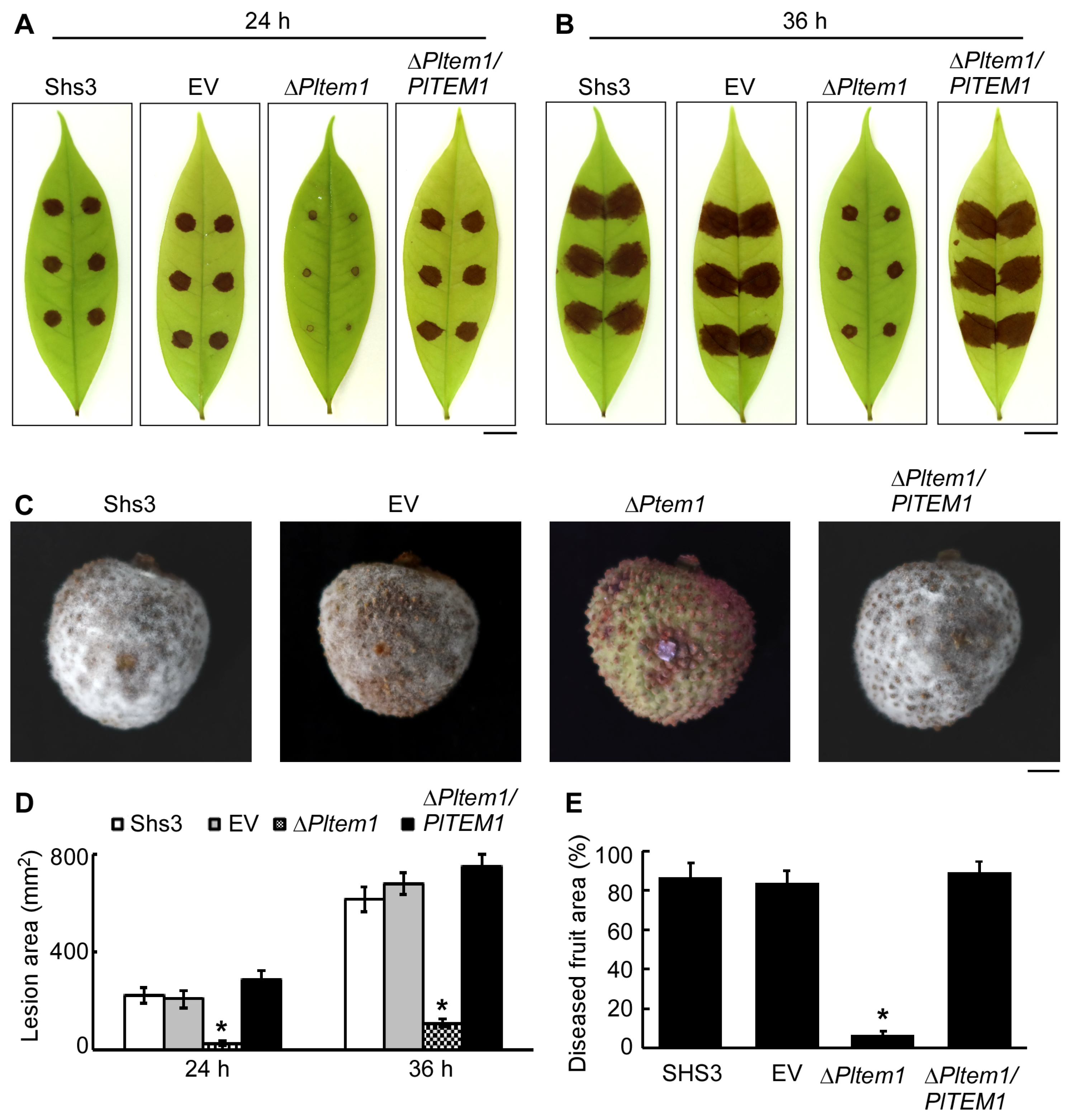 Agronomy 15 01619 g007