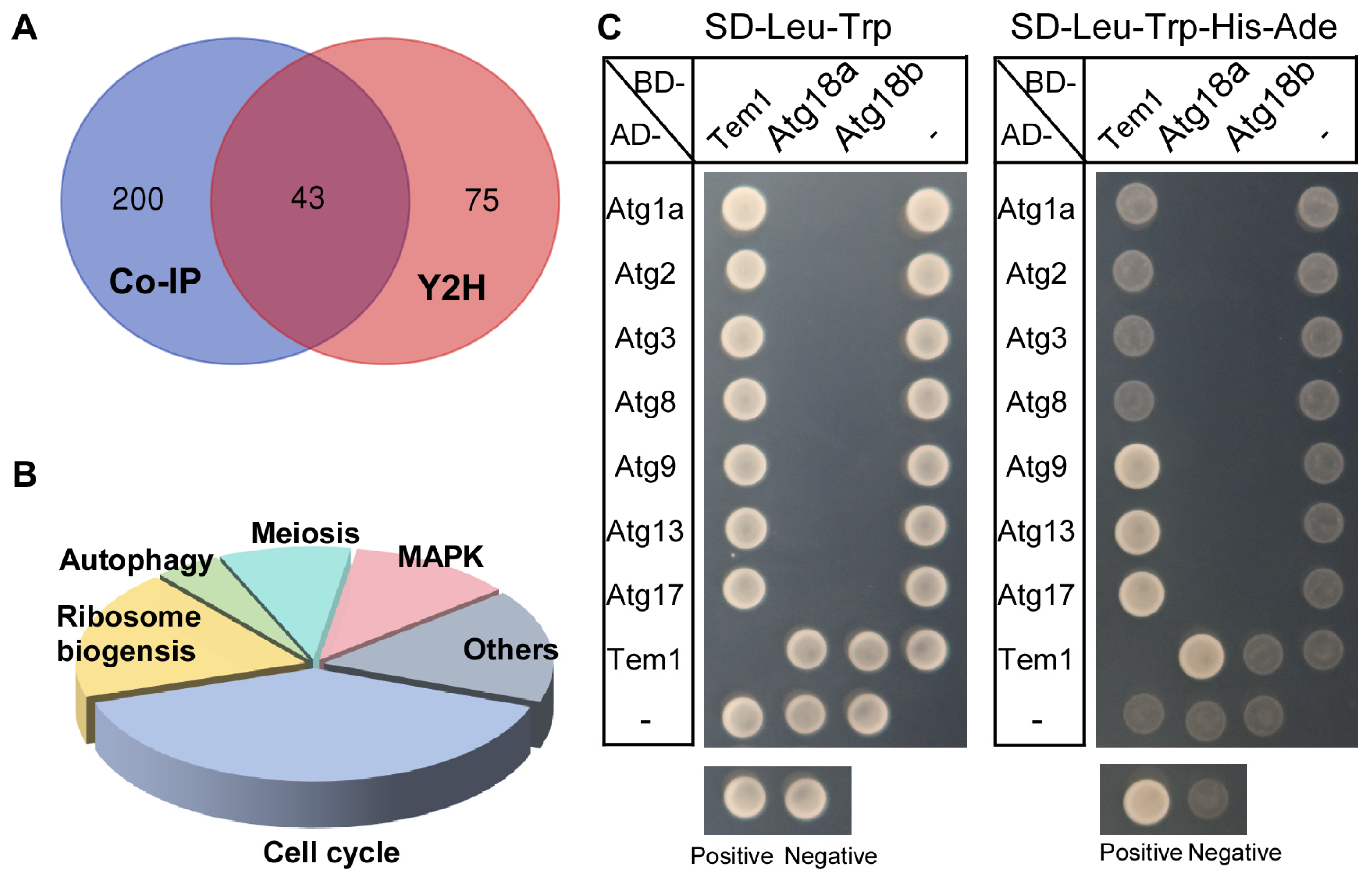 Agronomy 15 01619 g008
