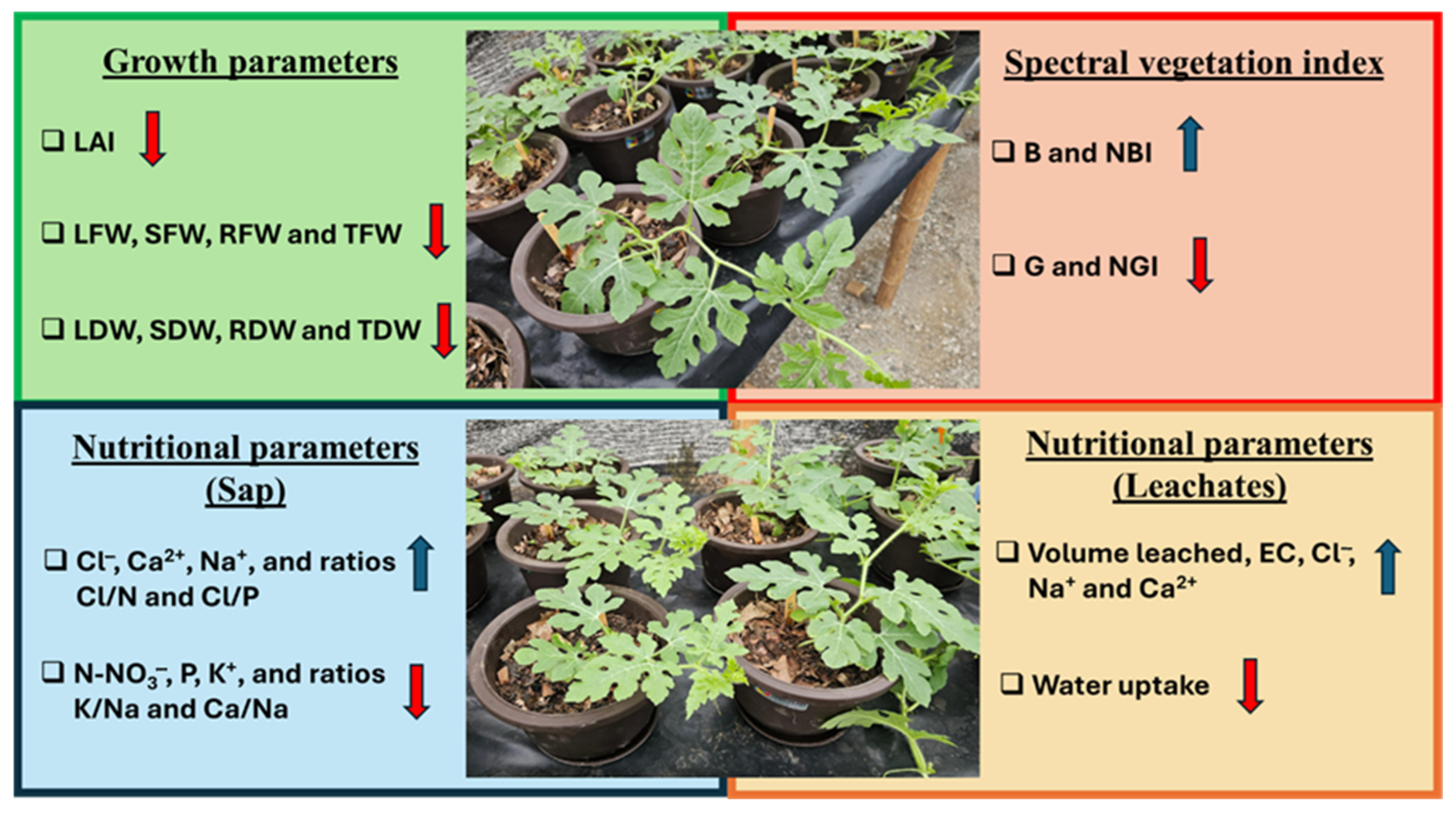 Agronomy 15 01620 g002