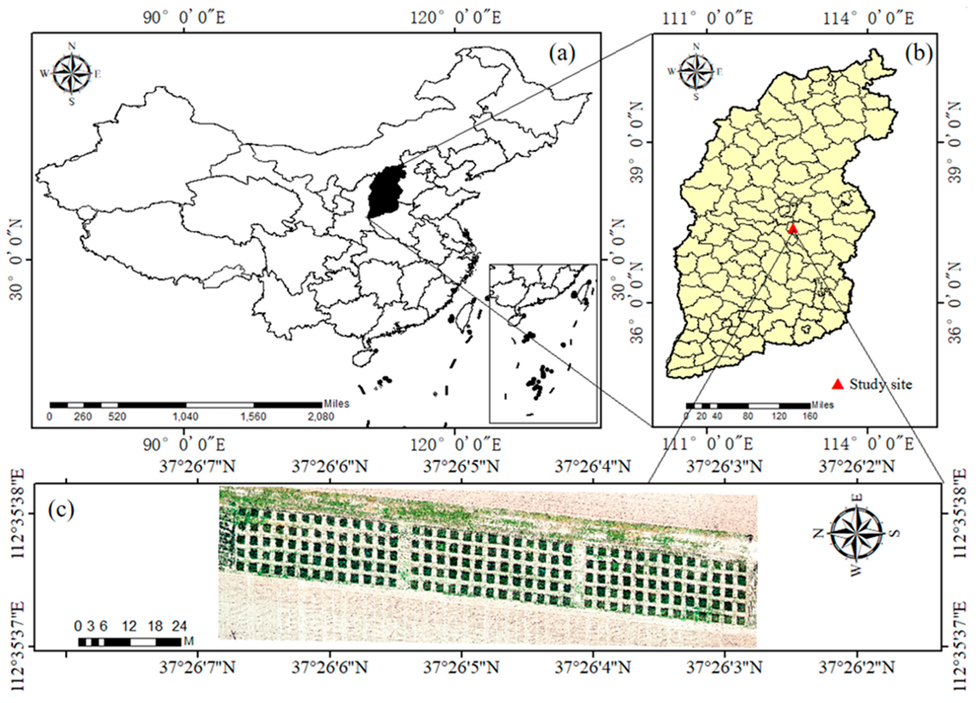 Agronomy 15 01621 g001