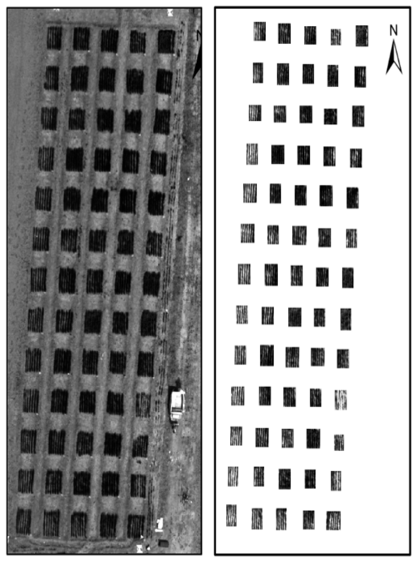 Agronomy 15 01621 g003