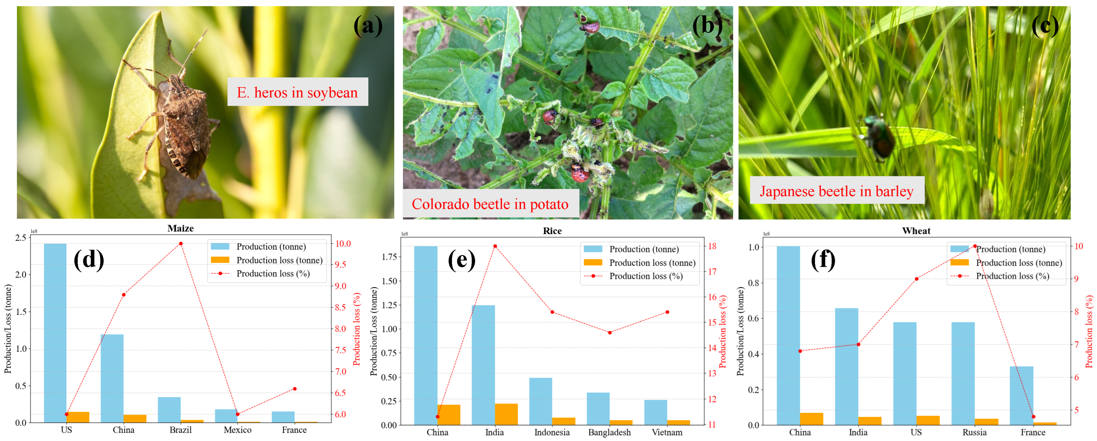 Agronomy 15 01629 g001