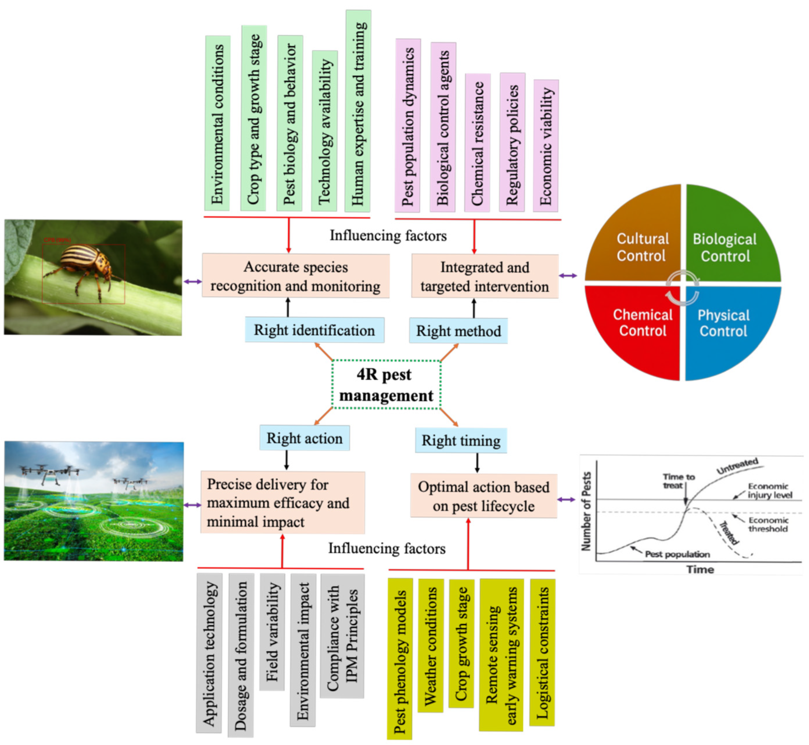 Agronomy 15 01629 g003