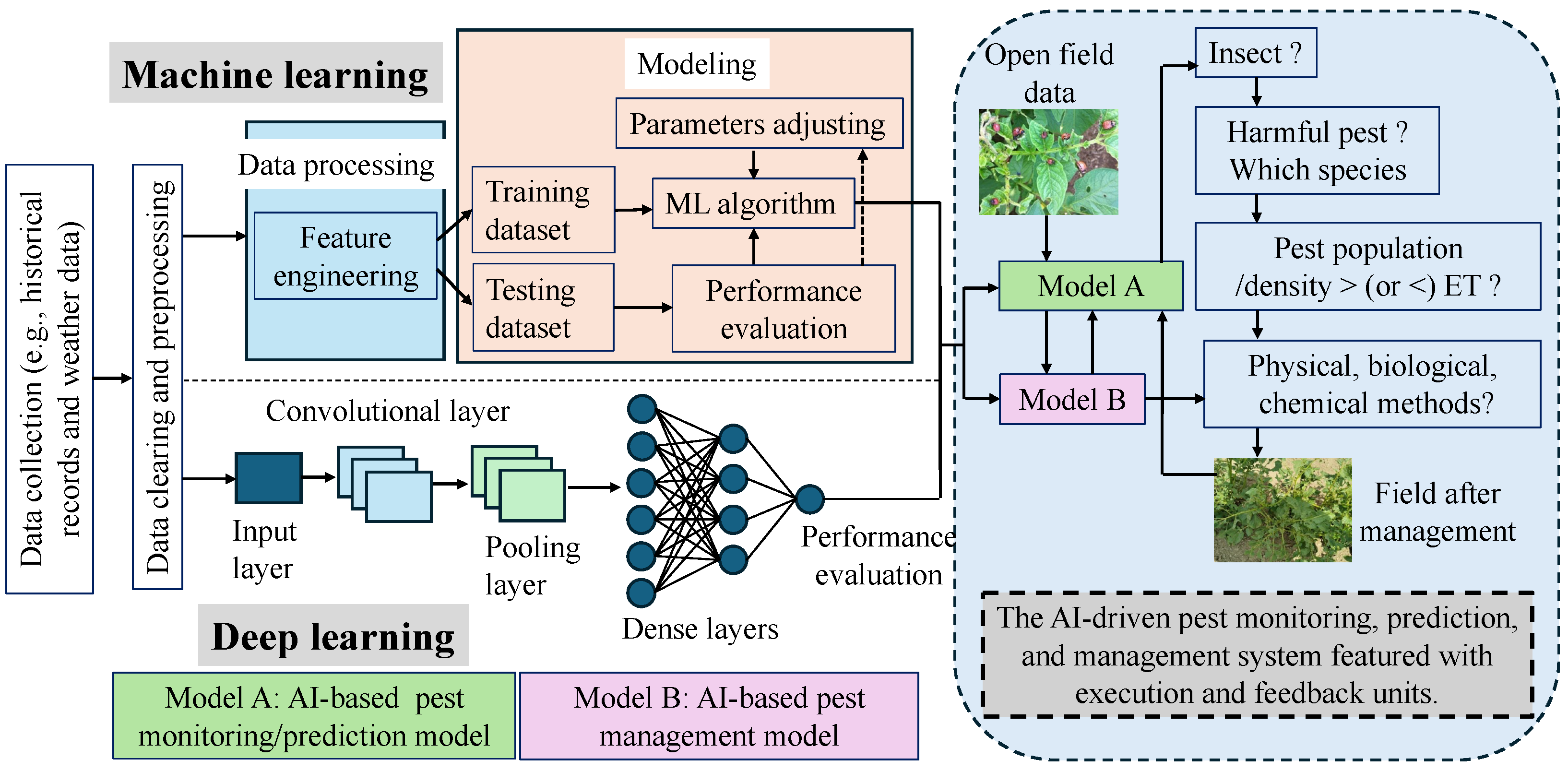 Agronomy 15 01629 g005