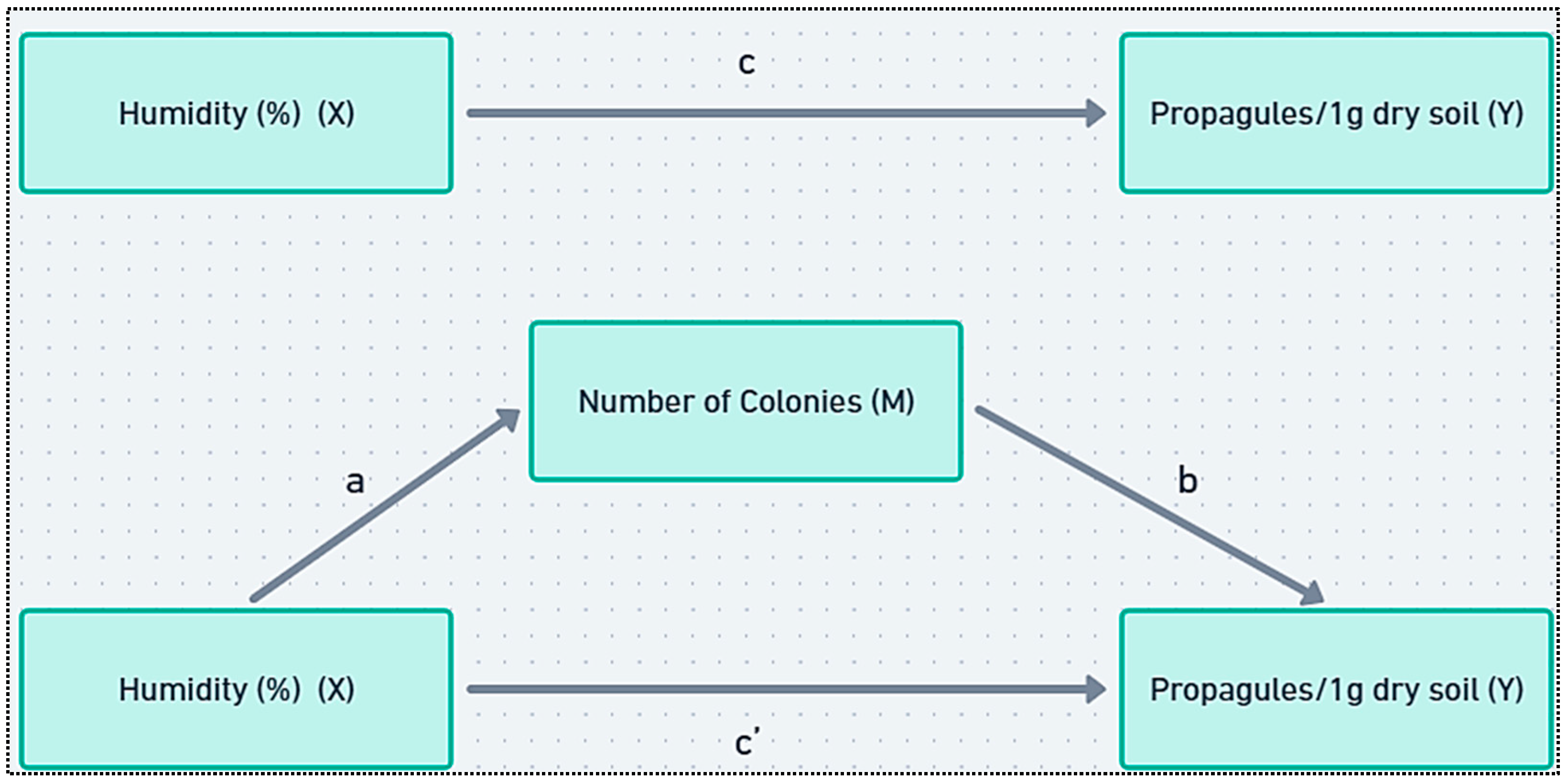 Agronomy 15 01631 g001