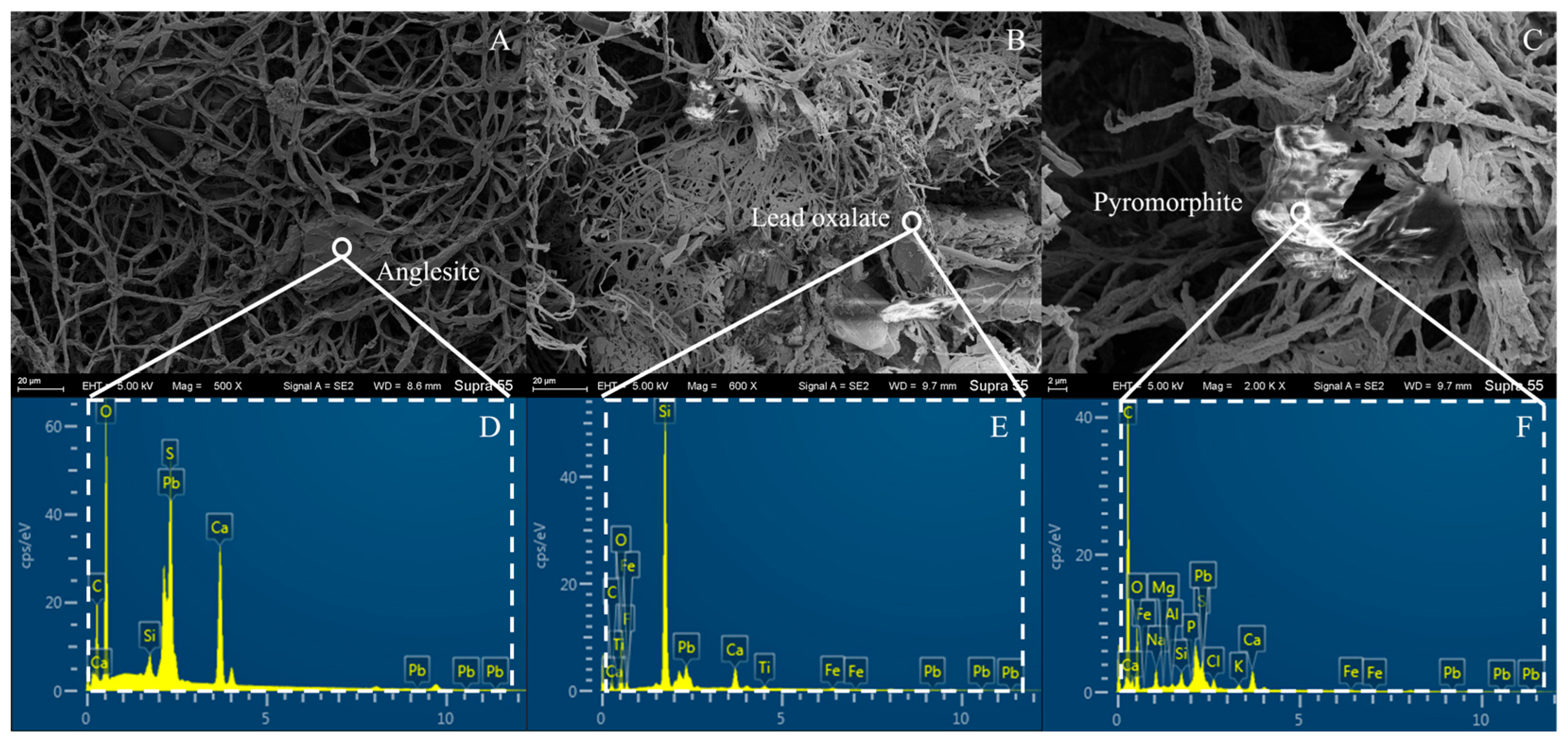 Agronomy 15 01632 g004