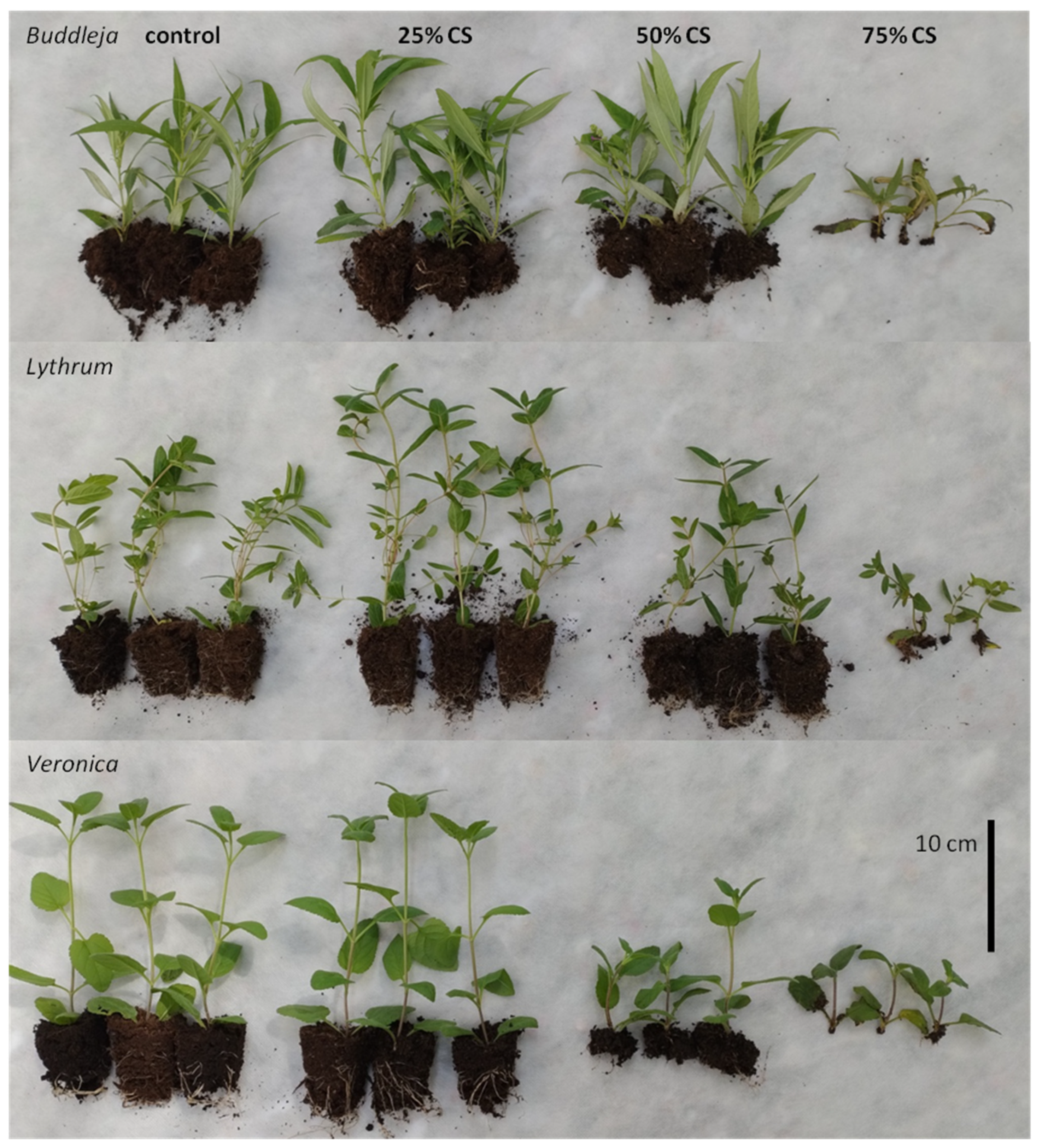 Agronomy 15 01633 g003