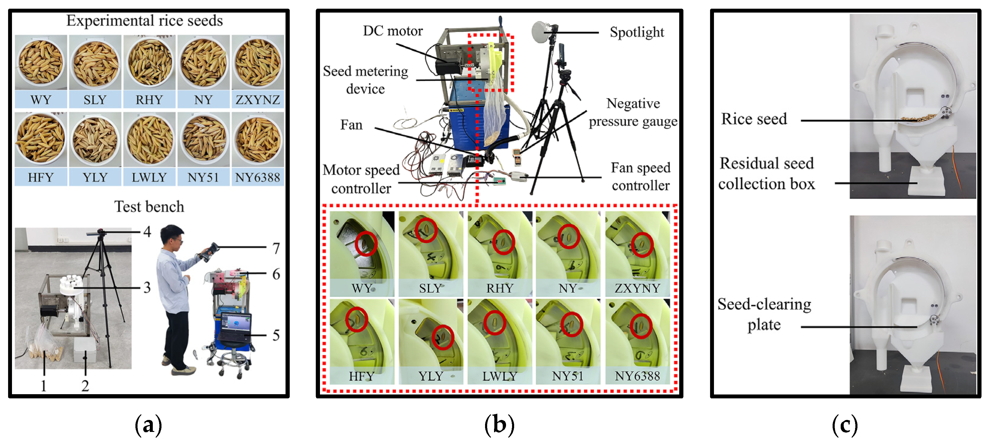 Agronomy 15 01642 g009a