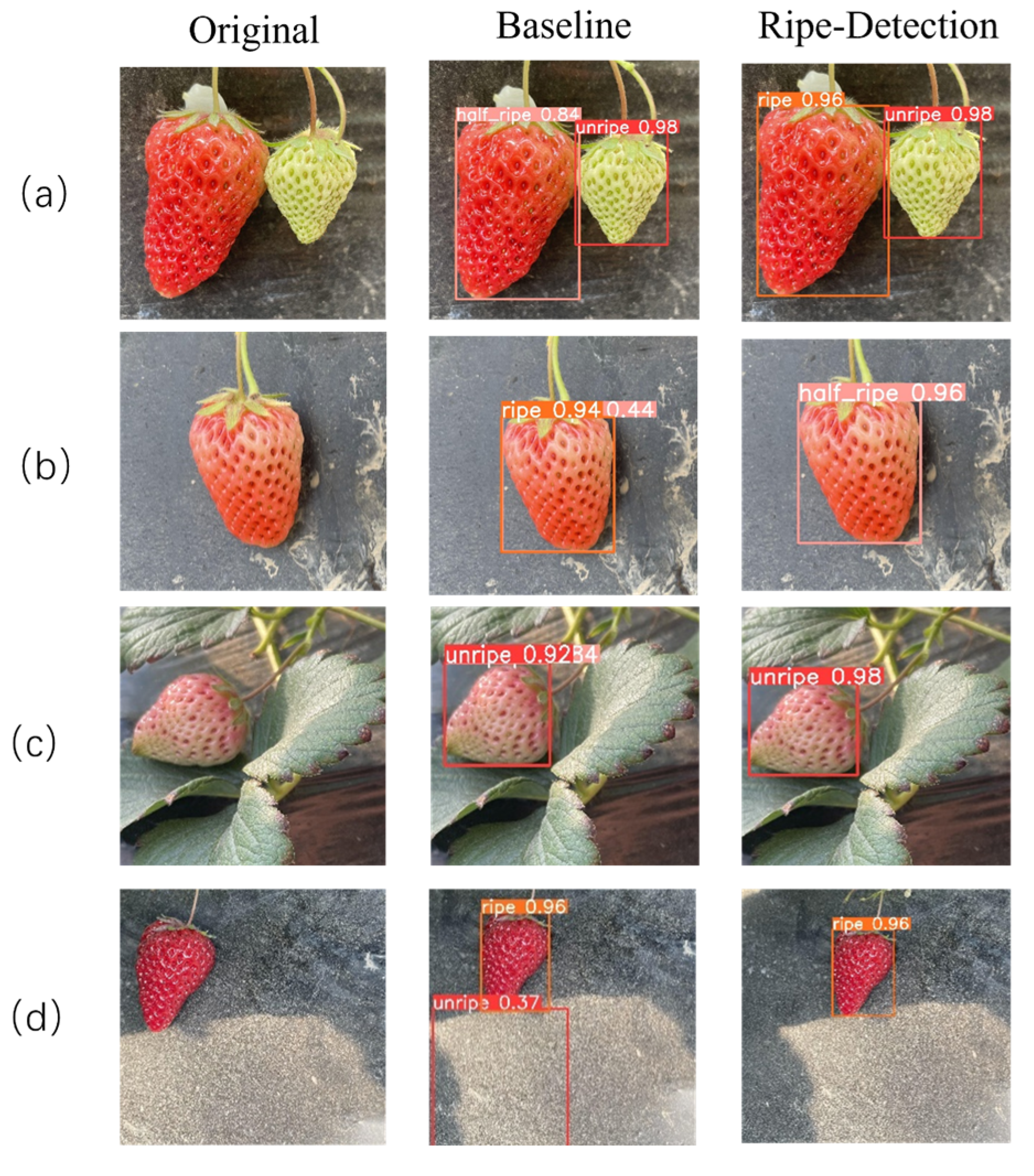 Ripe-Detection: A Lightweight Method for Strawberry Ripeness