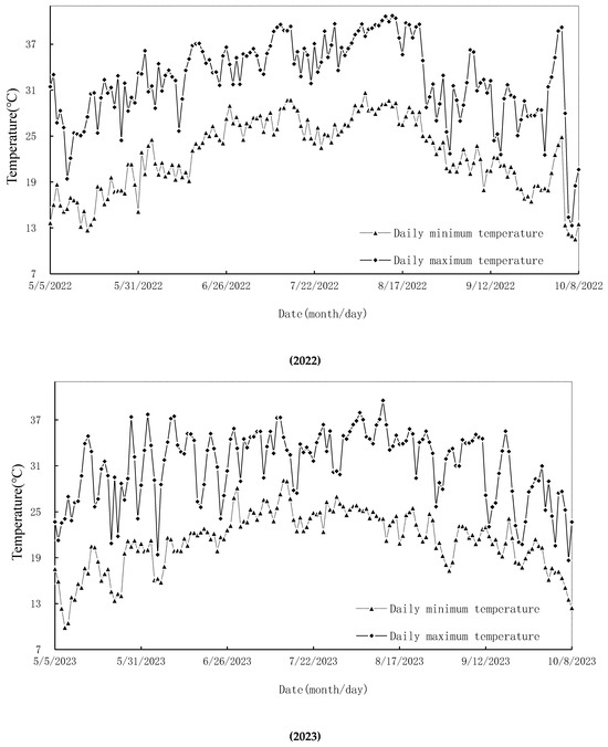 Synergistic Effect of Nitrogen Fertilizer Management on Rice