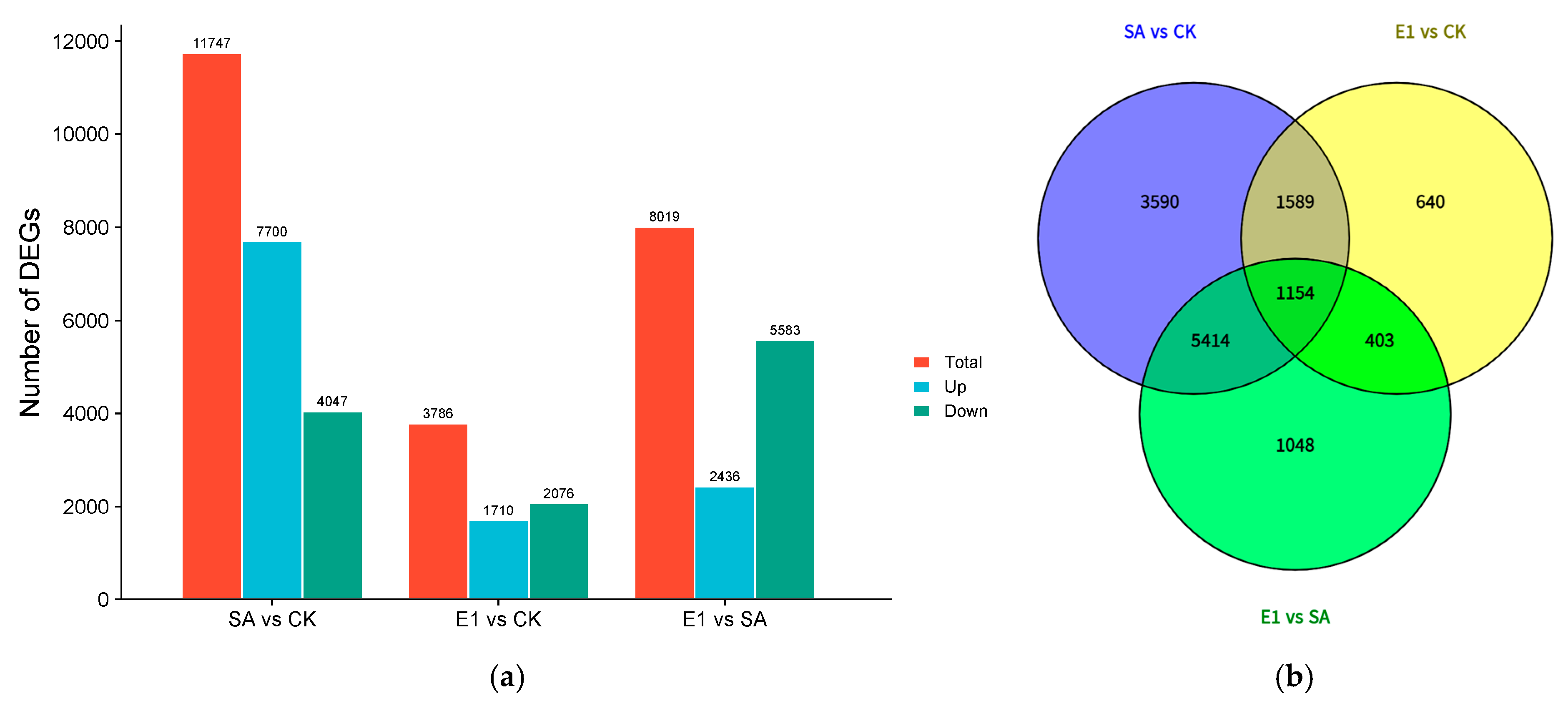 Agronomy 15 01653 g002