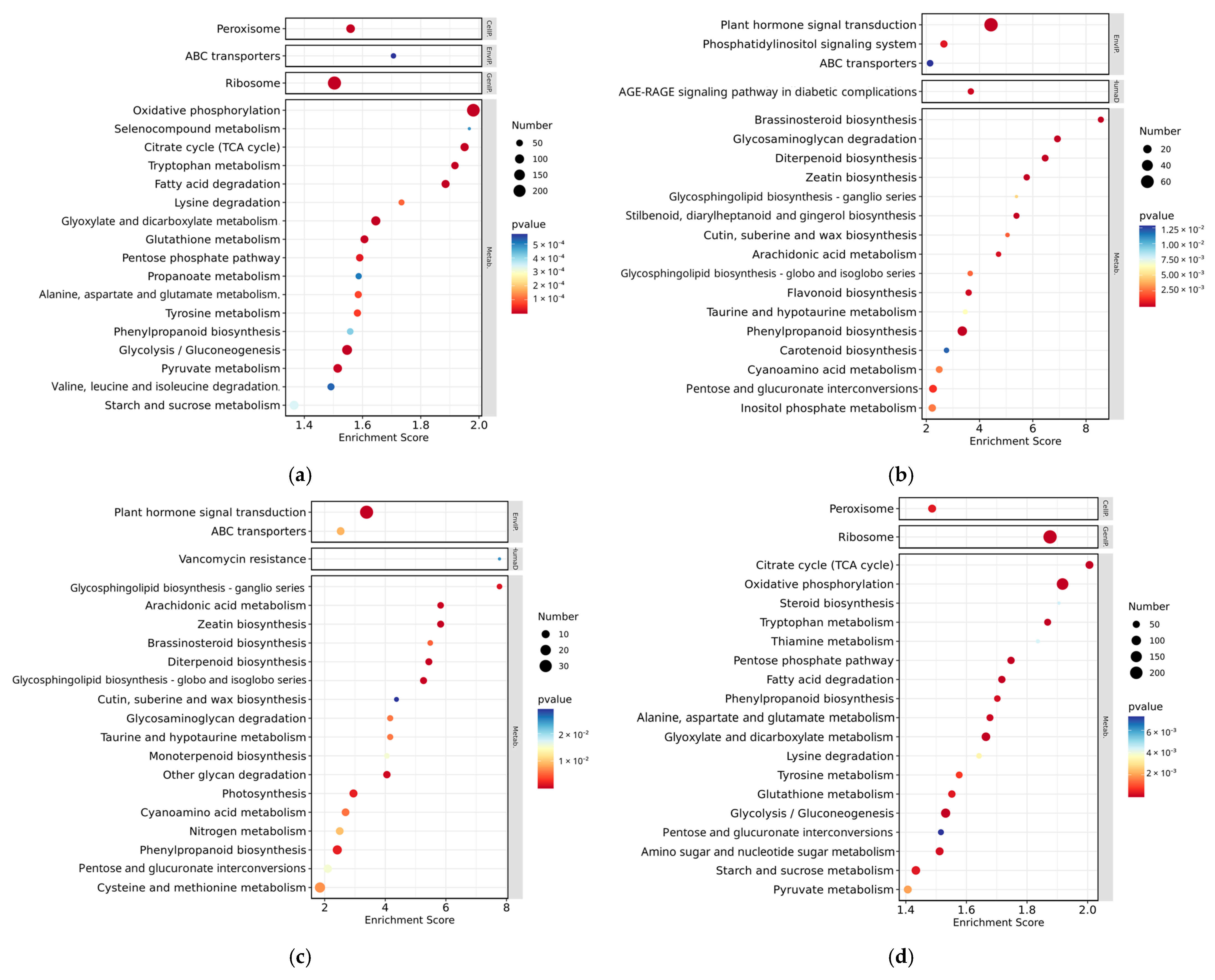 Agronomy 15 01653 g003