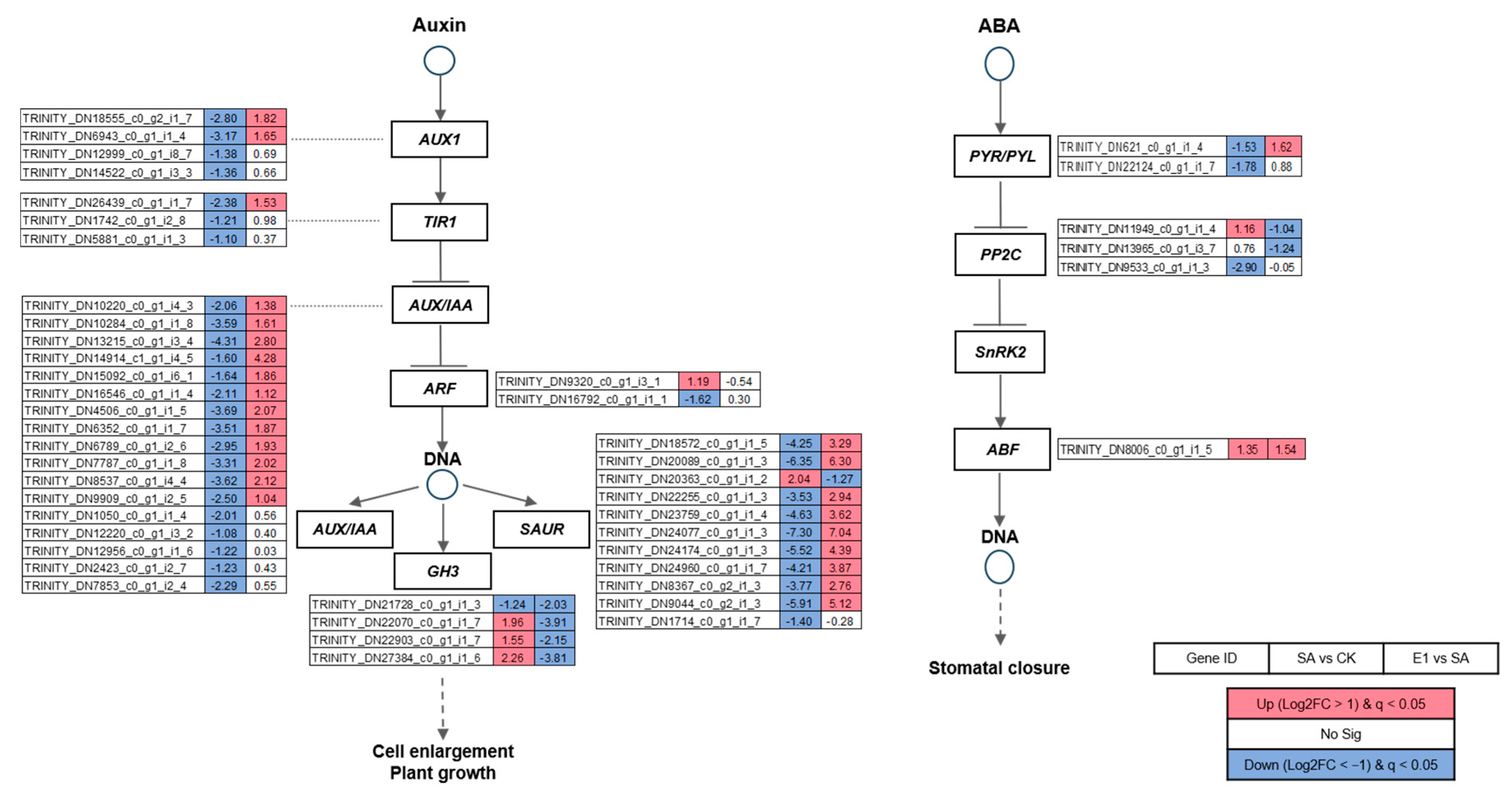 Agronomy 15 01653 g004