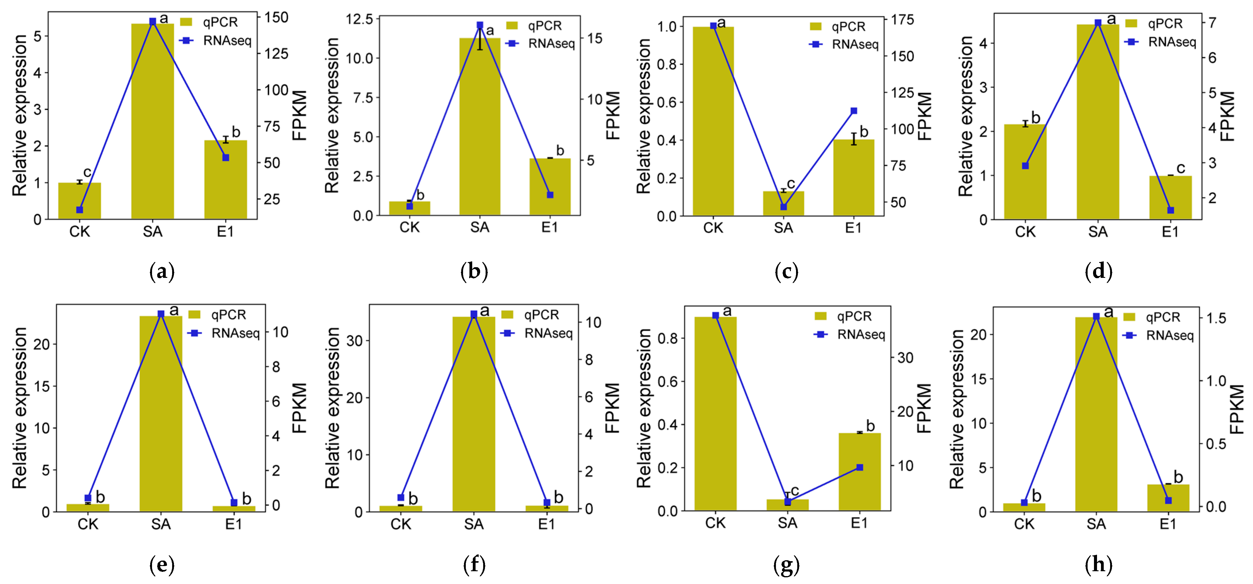 Agronomy 15 01653 g005