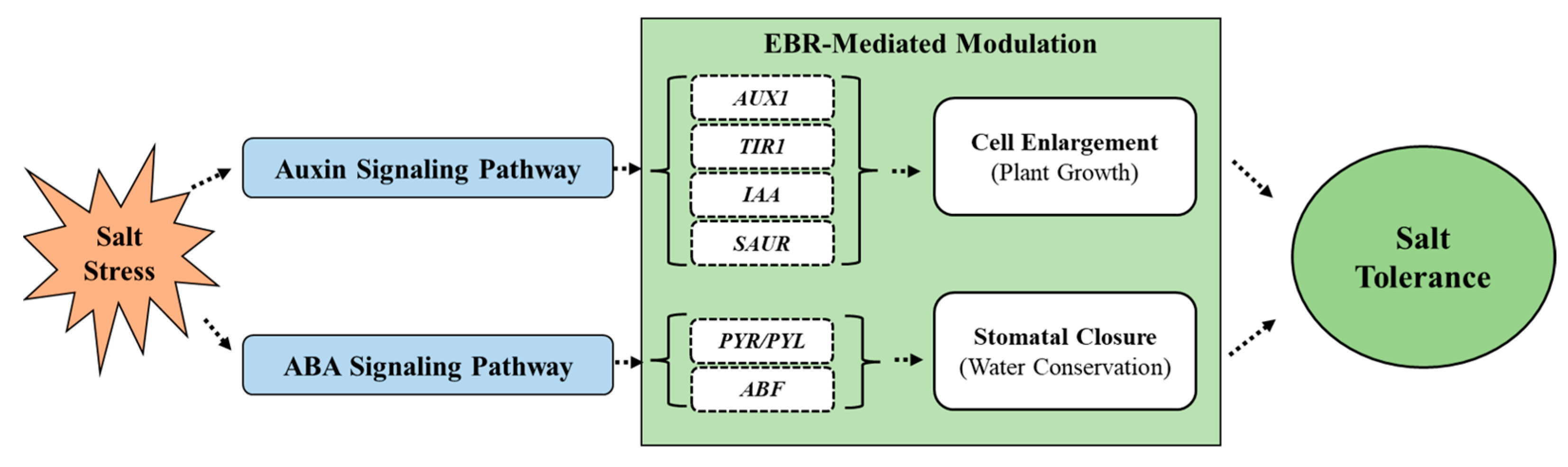 Agronomy 15 01653 g006