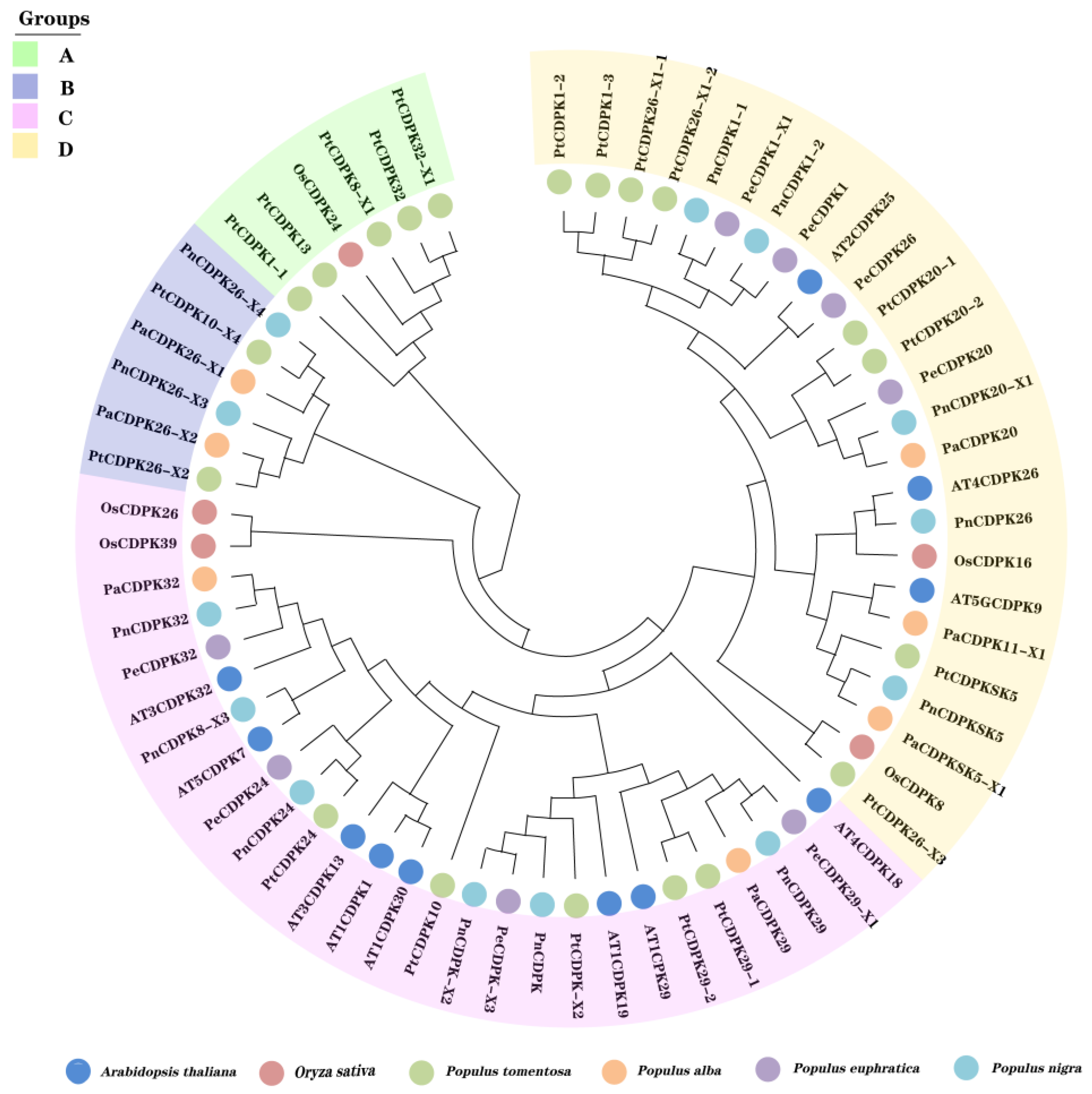 Agronomy 15 01655 g001