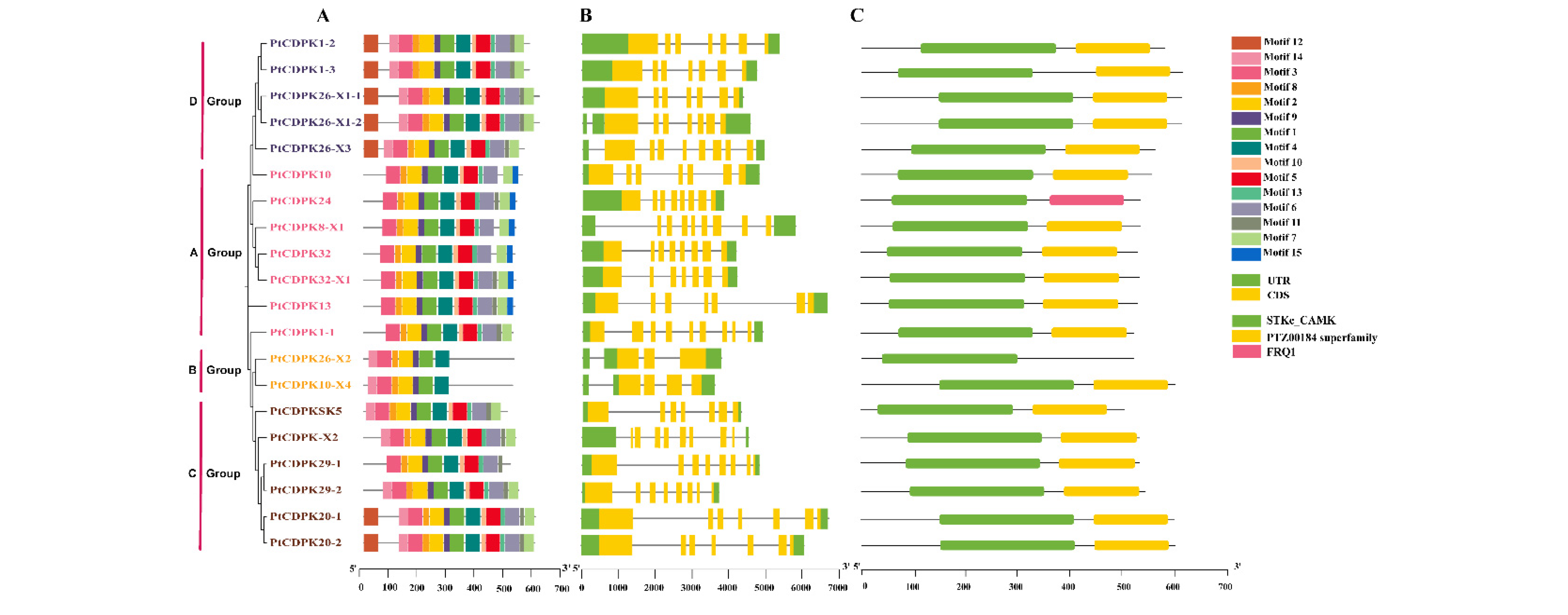 Agronomy 15 01655 g002a