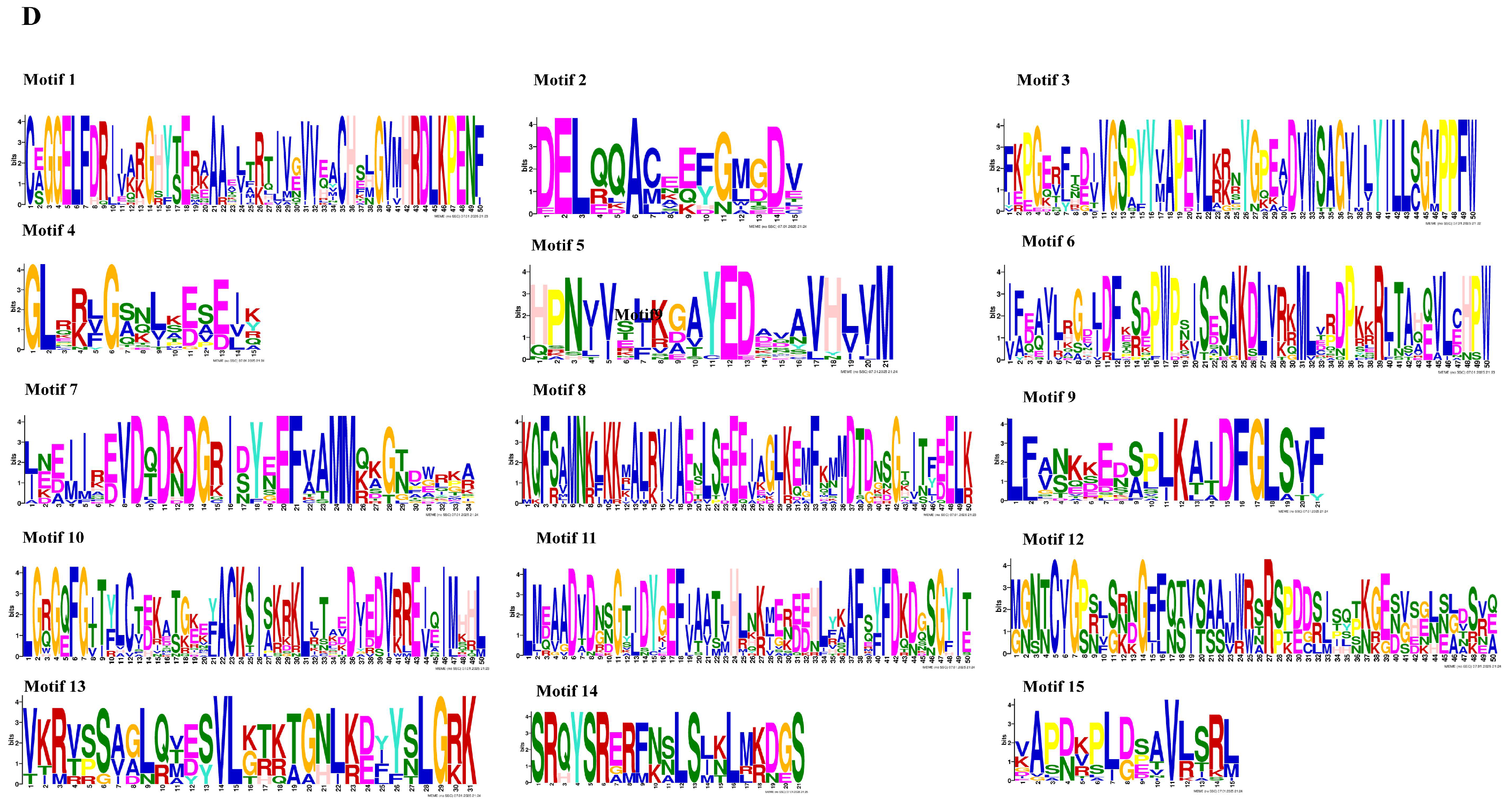 Agronomy 15 01655 g002b
