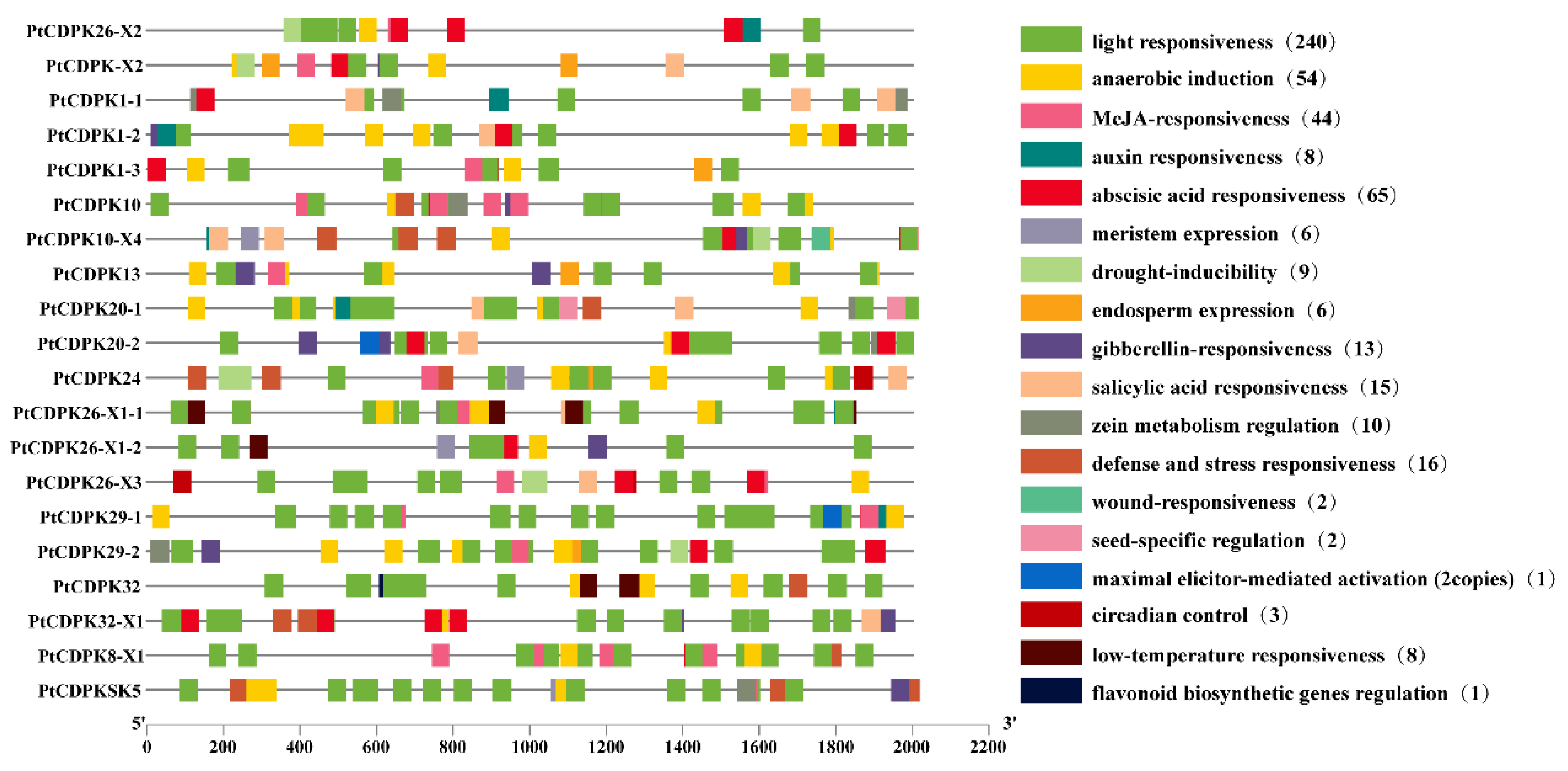 Agronomy 15 01655 g003