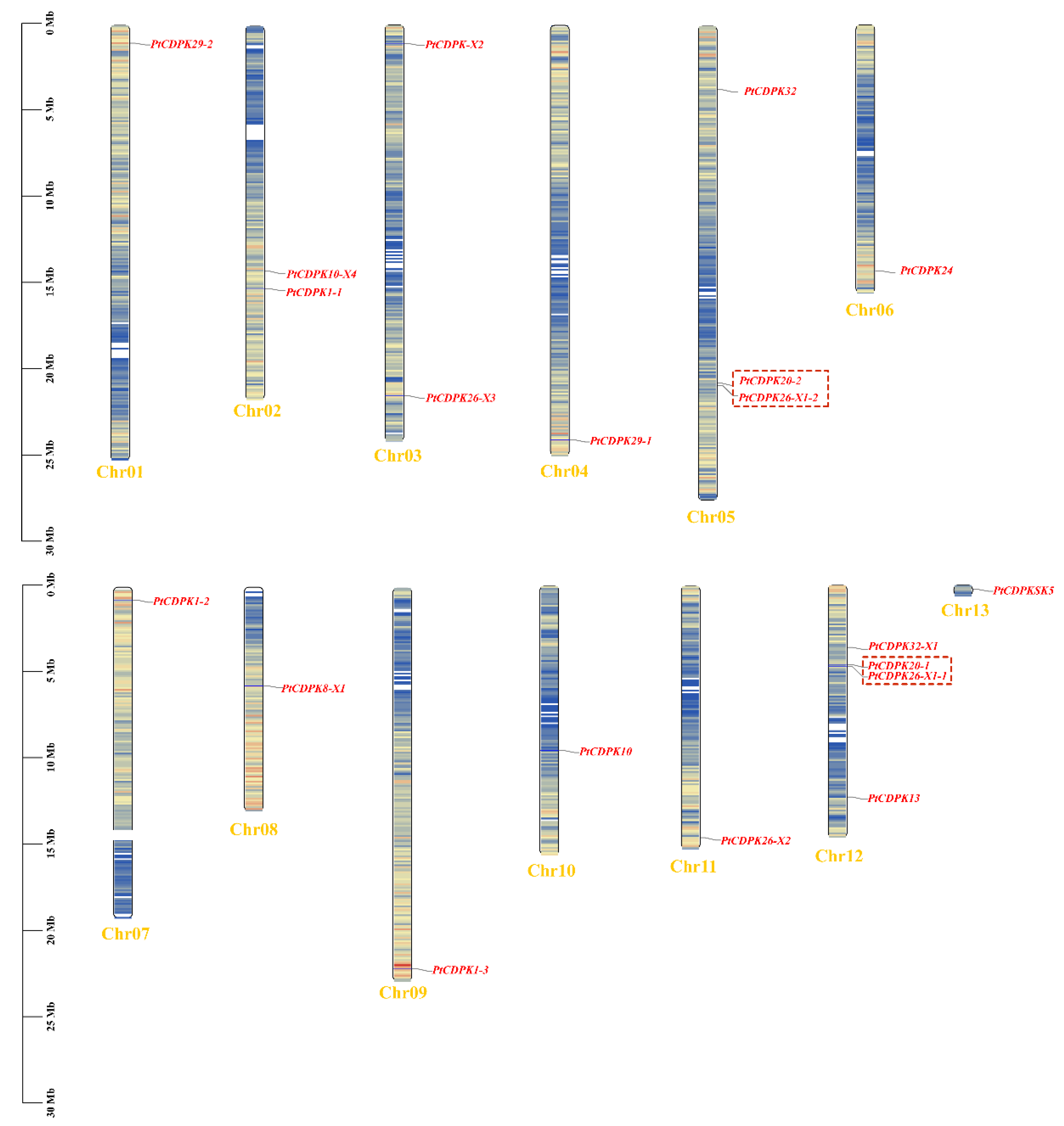 Agronomy 15 01655 g004